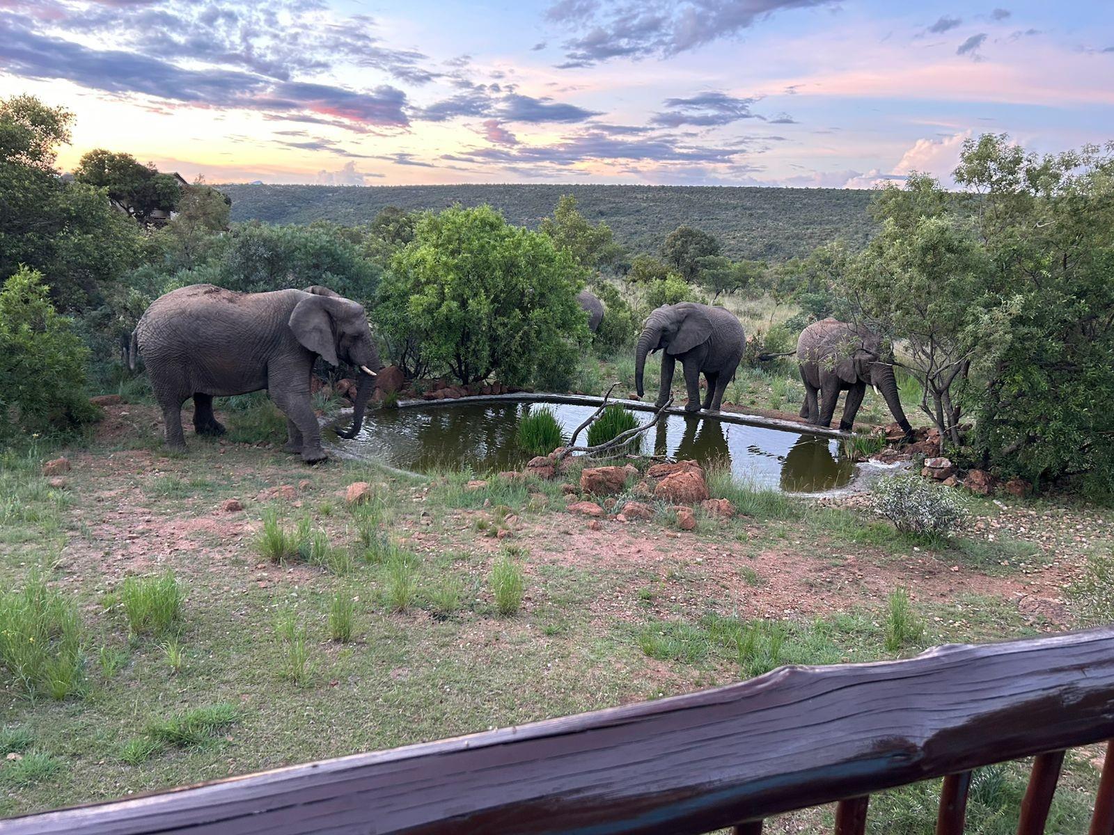 Private Lodge in Mabalingwe Nature Reserve - A Big 5 Lodge of Peace and Tranquillity
