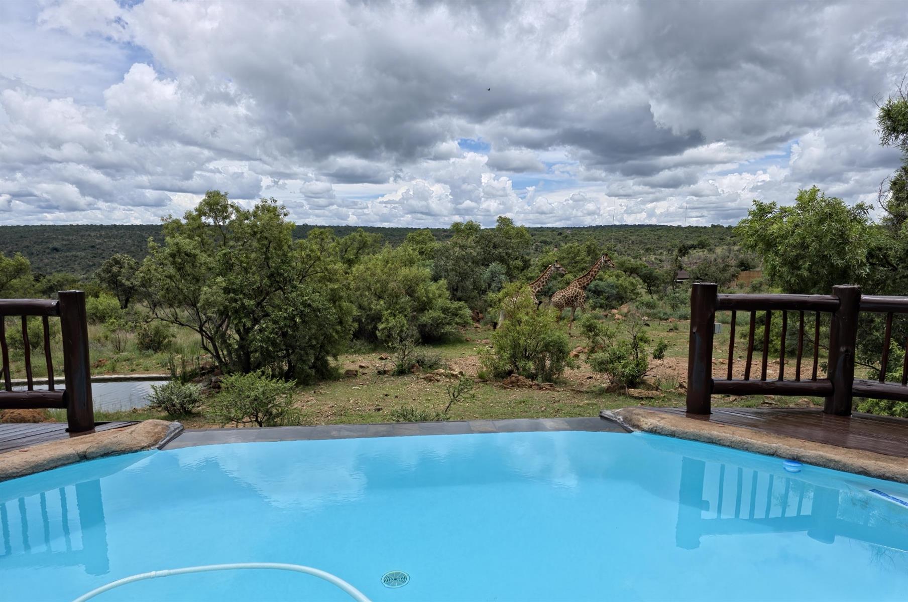 Private Lodge in Mabalingwe Nature Reserve - A Big 5 Lodge of Peace and Tranquillity
