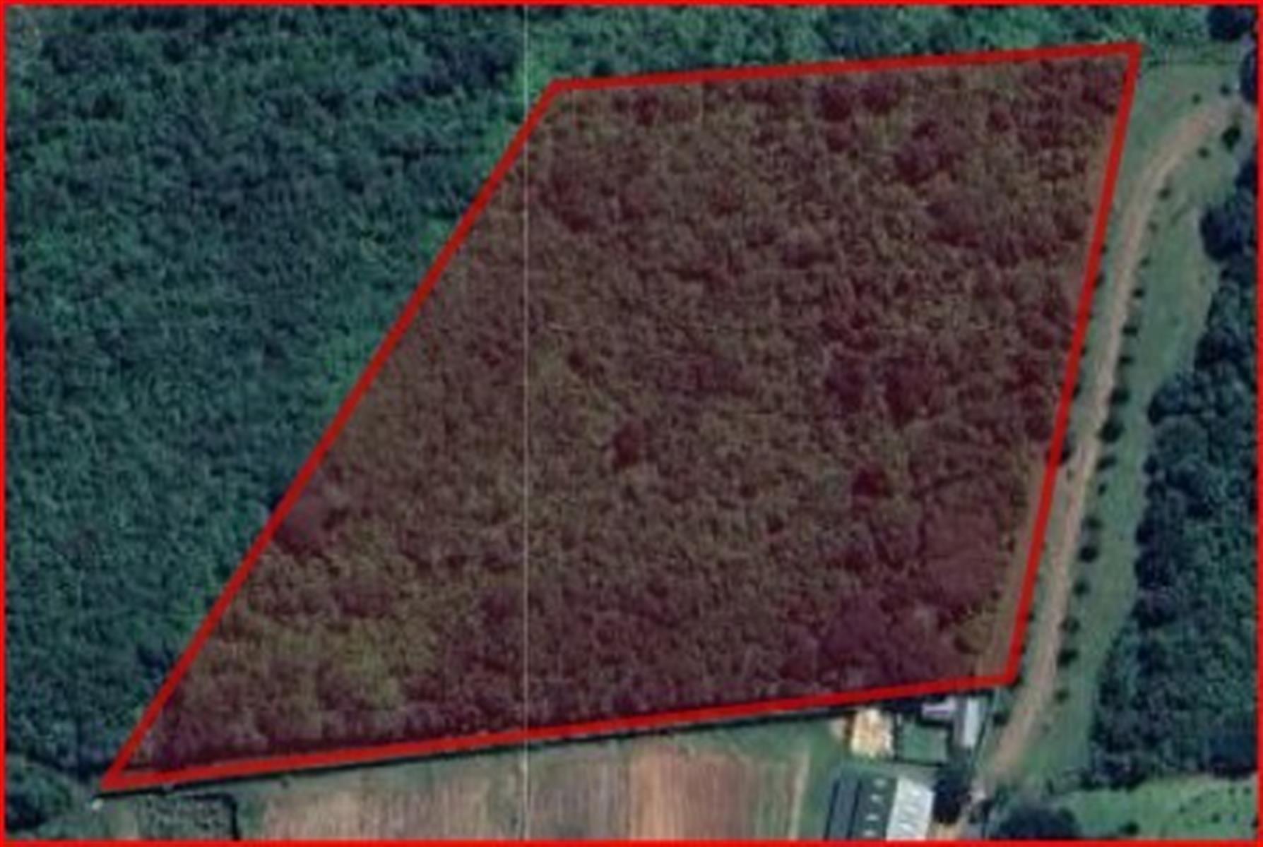 Tranquil Country Living In Umfolozi Village with Water Access - Small Holding for sale