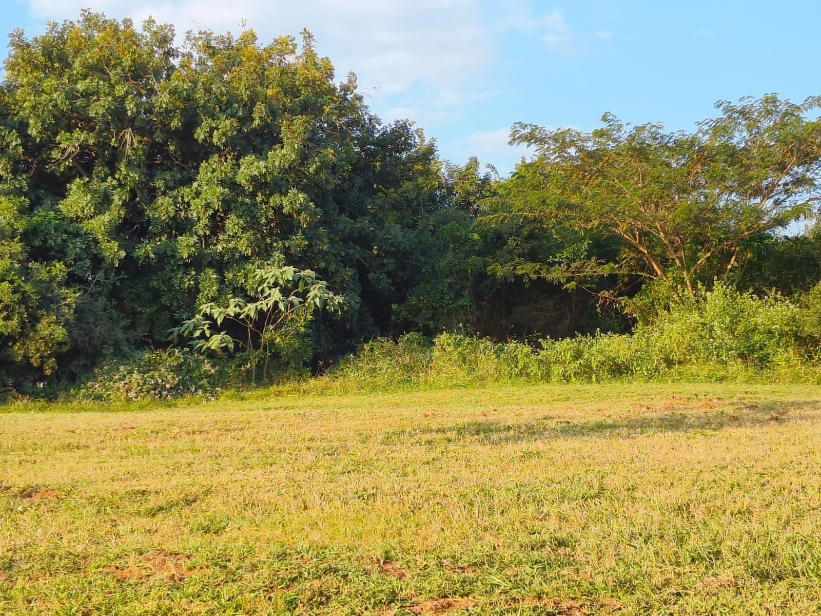 Tranquil Country Living In Umfolozi Village with Water Access - Small Holding for sale