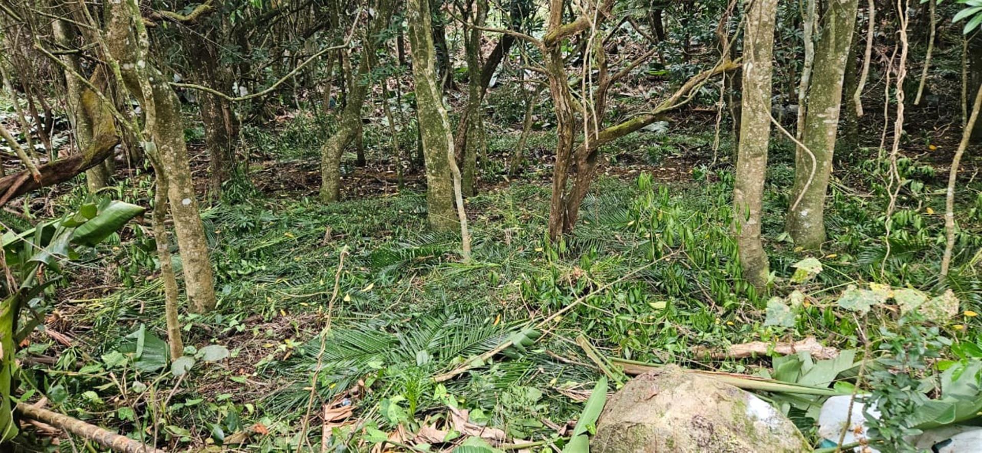 Less than 2km away from the beach, a rare vacant stand awaits