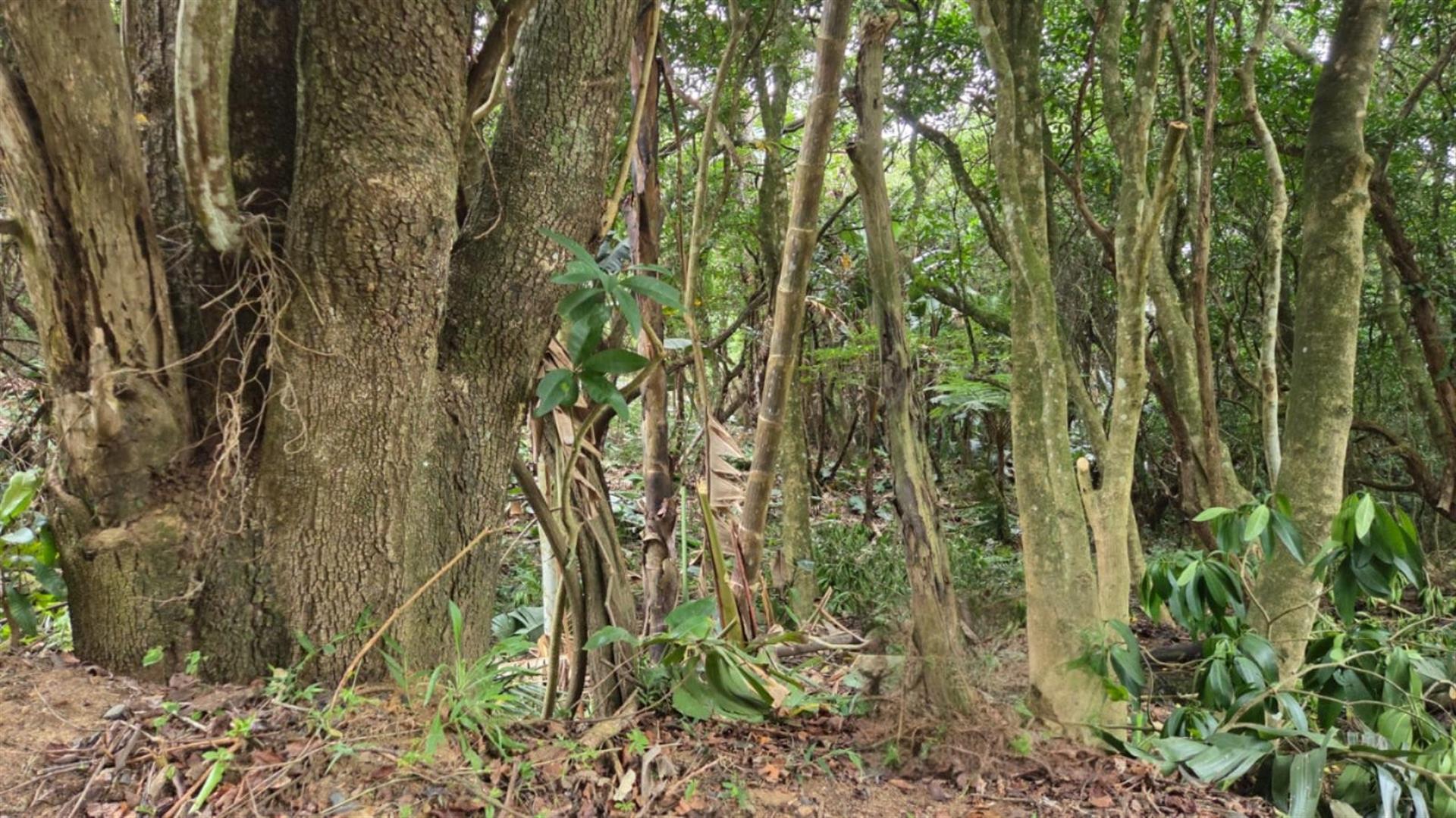 Less than 2km away from the beach, a rare vacant stand awaits