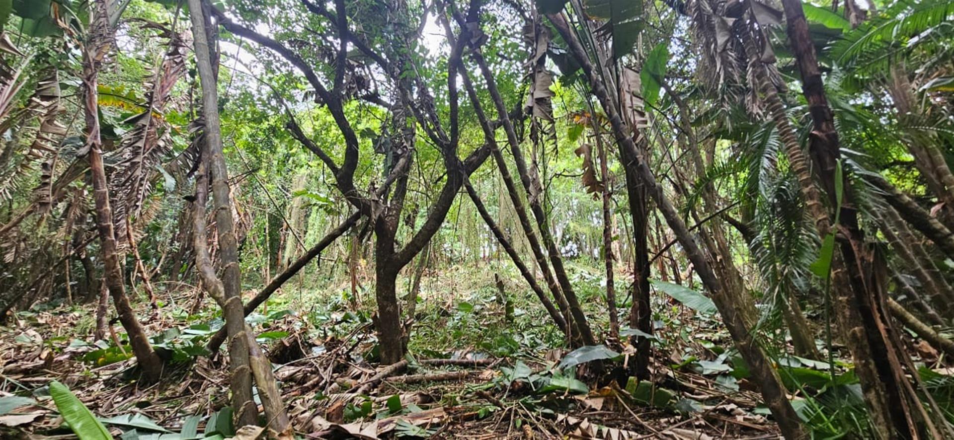 Less than 2km away from the beach, a rare vacant stand awaits