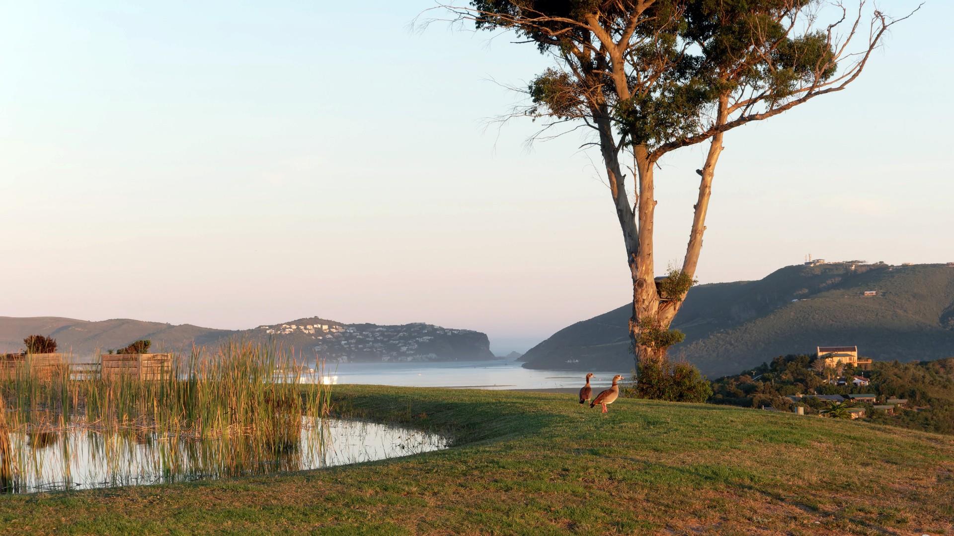 Vacant Land For Sale in Welbedacht, Knysna