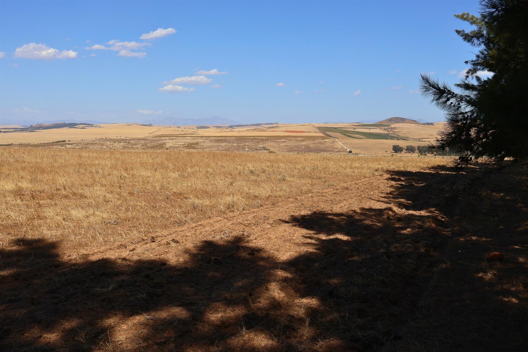 49Ha Highly Sought-After Malmesbury Rural Lifestyle Land with 22 x 2-Ha Subdivision Framework