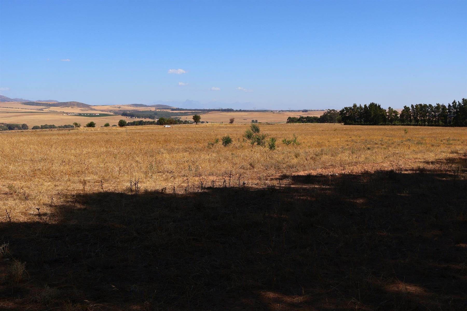 49Ha Highly Sought-After Malmesbury Rural Lifestyle Land with 22 x 2-Ha Subdivision Framework