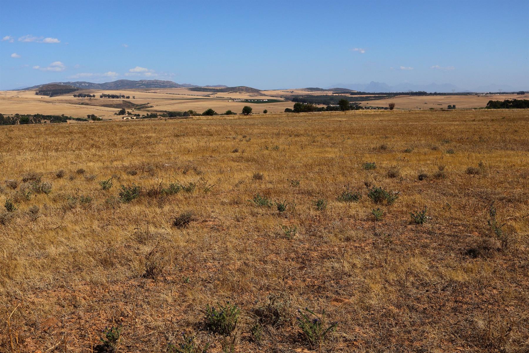 49Ha Highly Sought-After Malmesbury Rural Lifestyle Land with 22 x 2-Ha Subdivision Framework