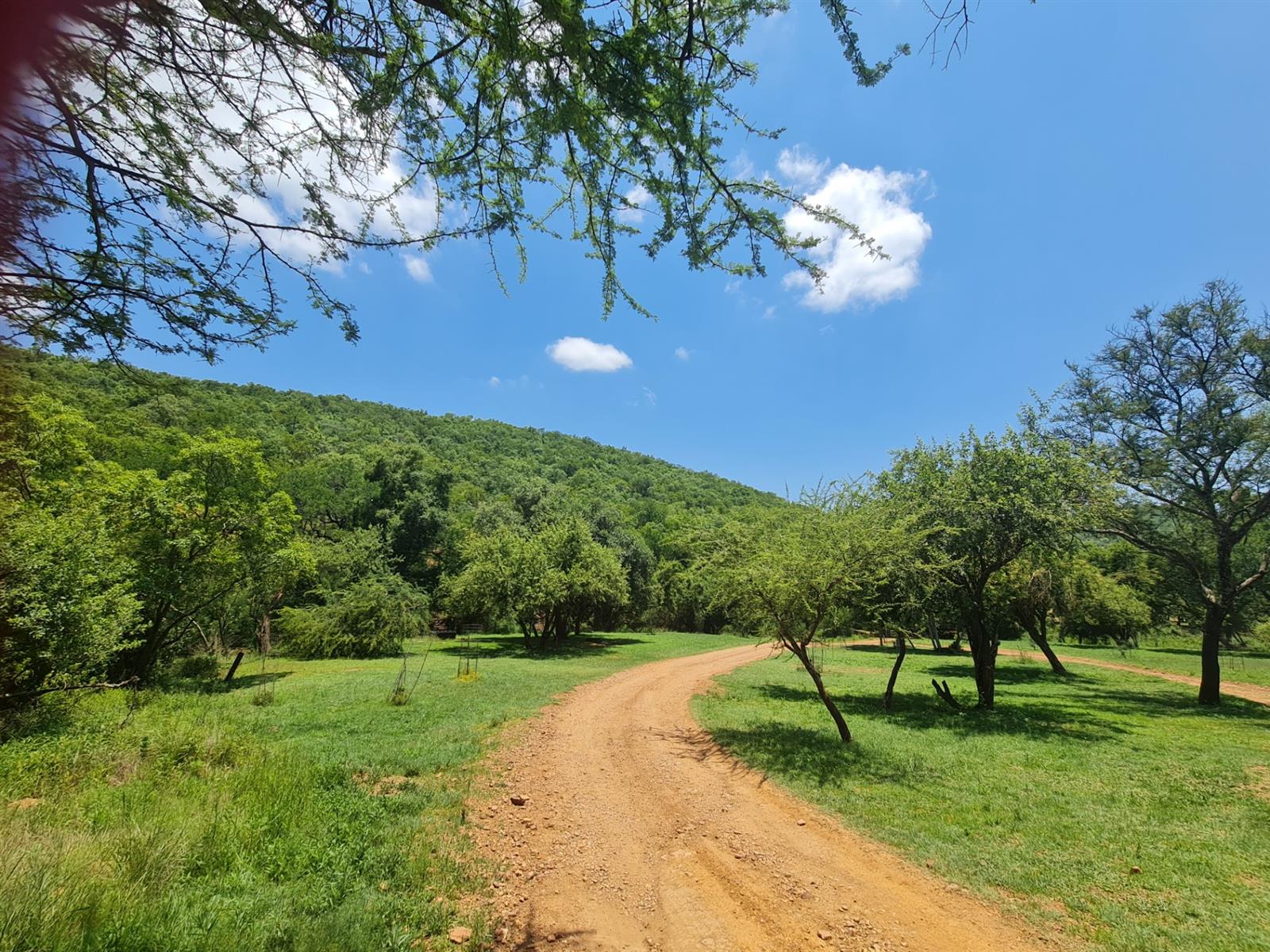 Vacant Land For Sale in Kranspoort Middelburg