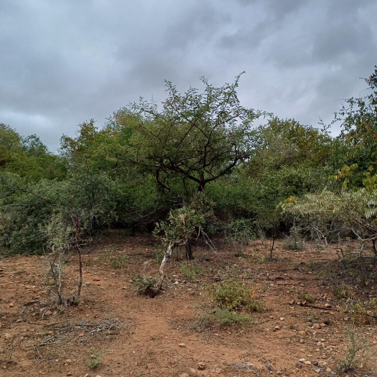 VACANT STAND IN SOUGHT AFTER AREA WITHIN WALKING DISTANCE TO THE RIVER