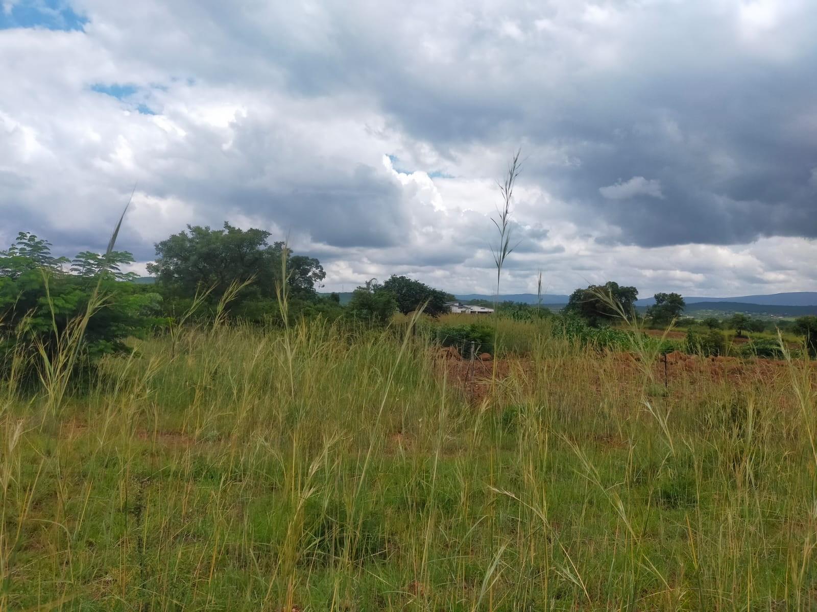 Vacant Land For Sale in Thohoyandou Rural, Mangondi
