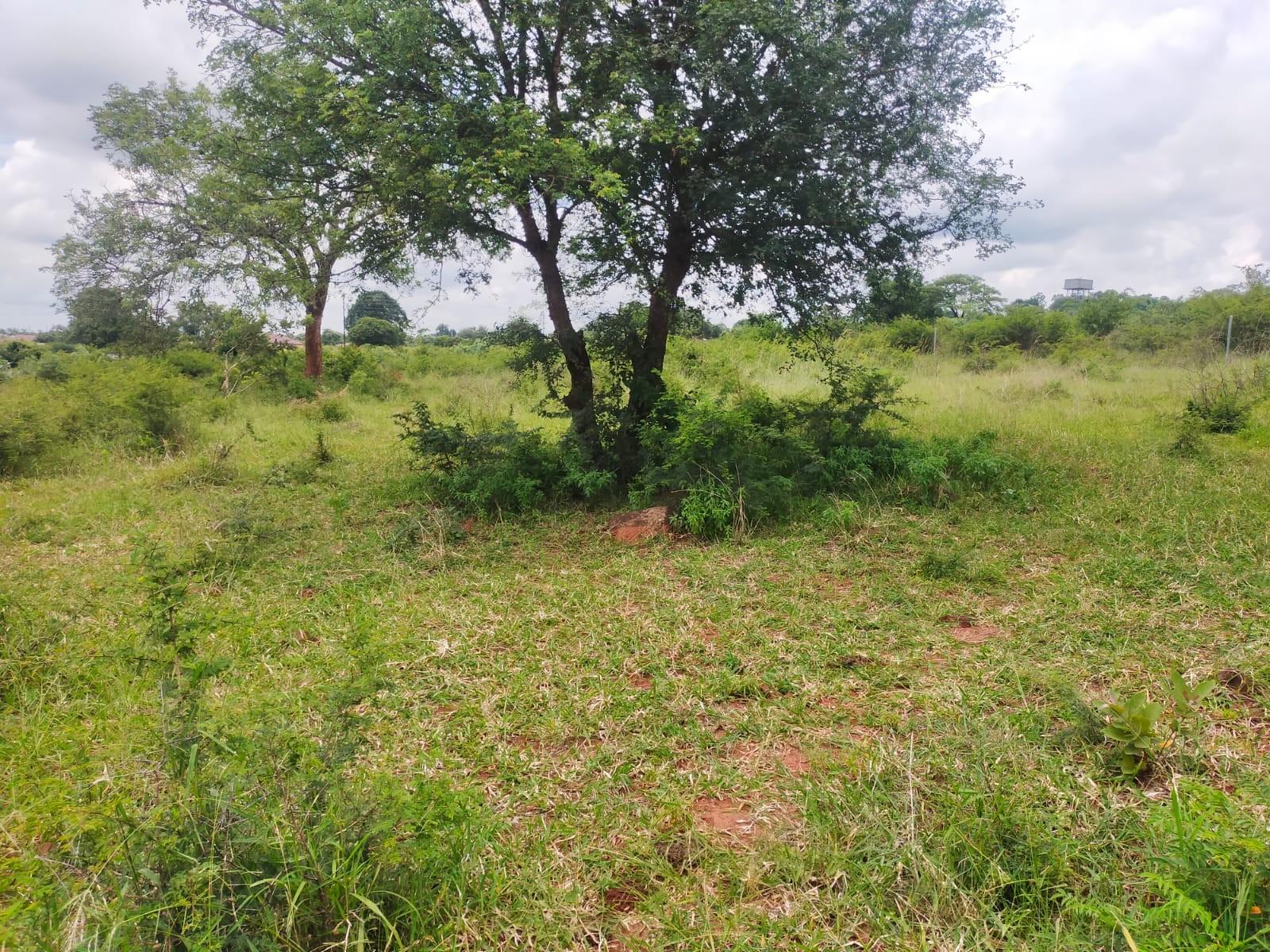 Vacant Land For Sale in Thohoyandou Rural, Mangondi