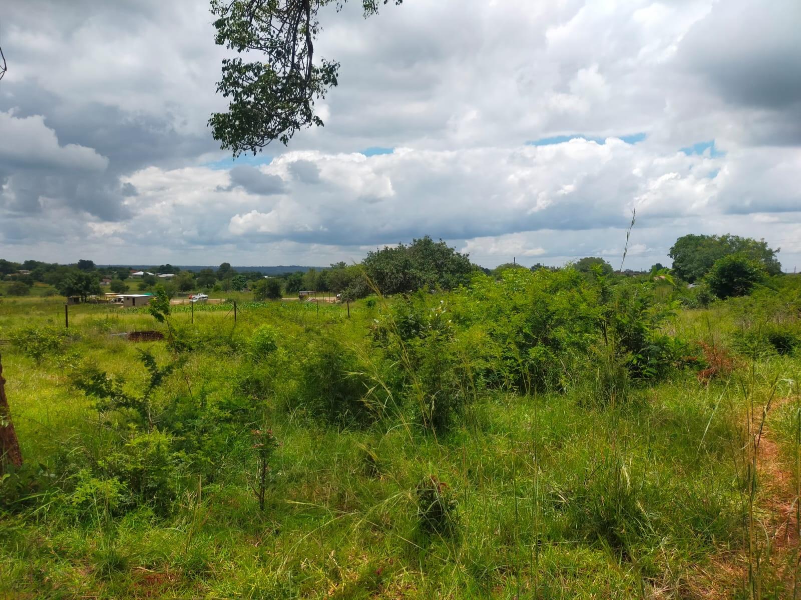 Vacant Land For Sale in Thohoyandou Rural, Mangondi