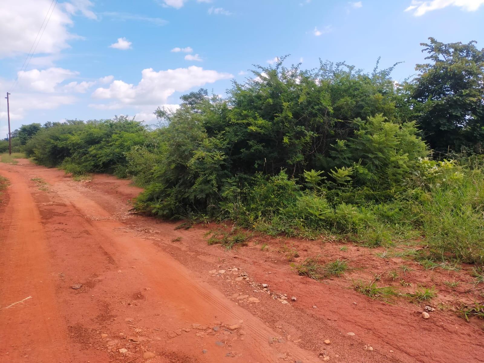 Vacant Land For Sale in Thohoyandou Rural, Makhuvha Tshilivho