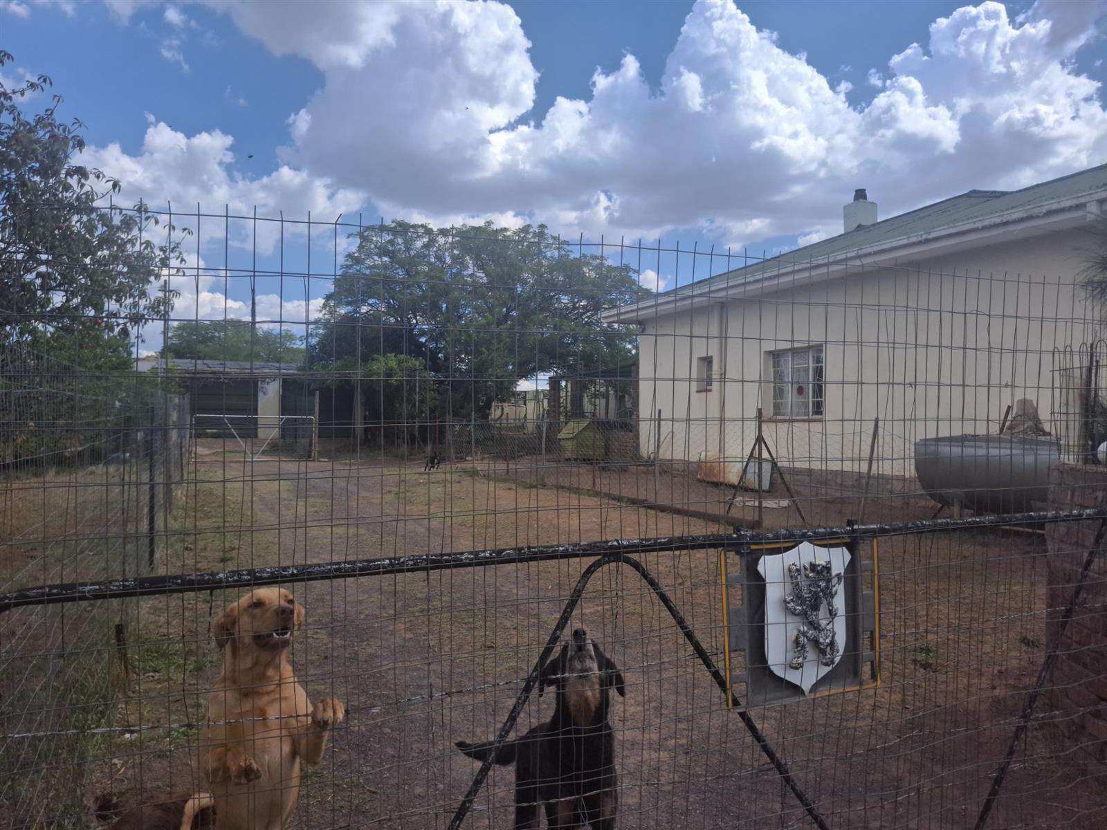 House For Sale in Steynsburg