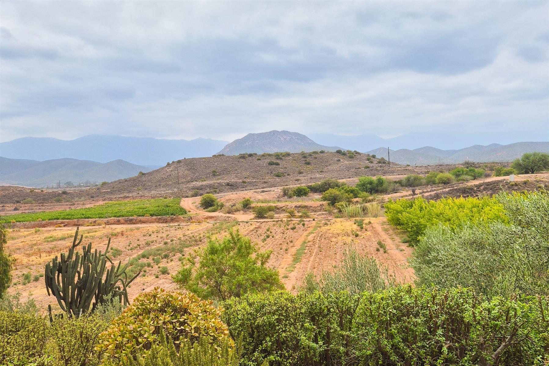 Established Italian Restaurant and Lifestyle Property for Sale on the R62 - Calitzdorp
