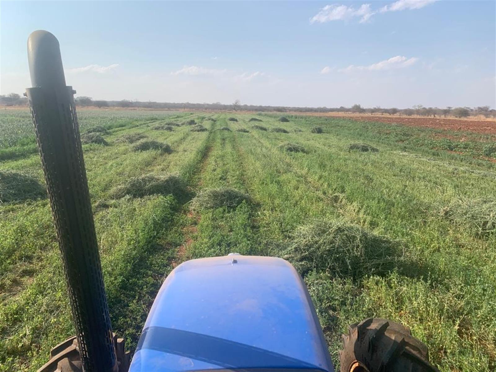 Prime Mixed Farming Opportunity Bordering Sondela