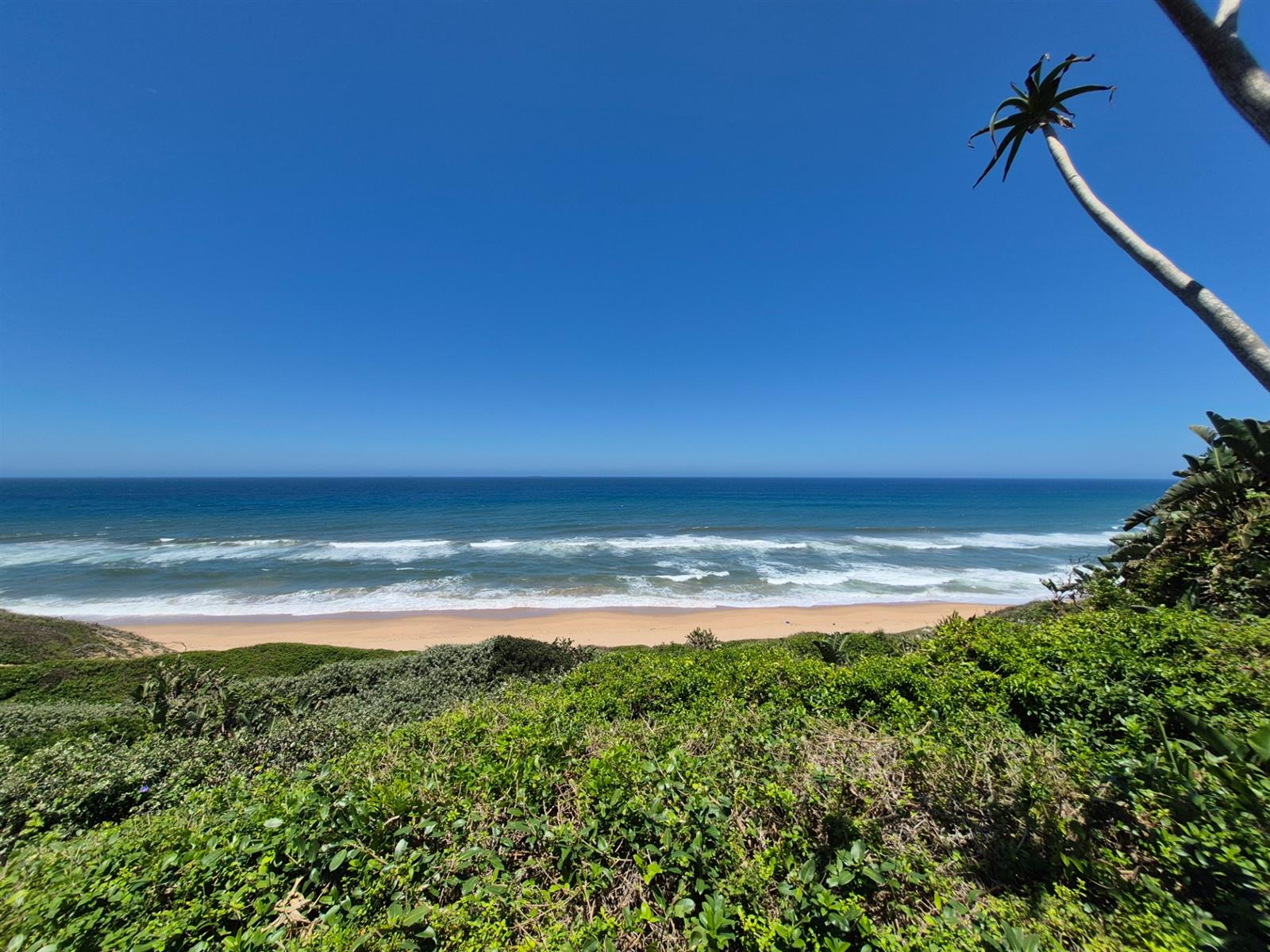 Three plots in one! Huge level land on Marine drive