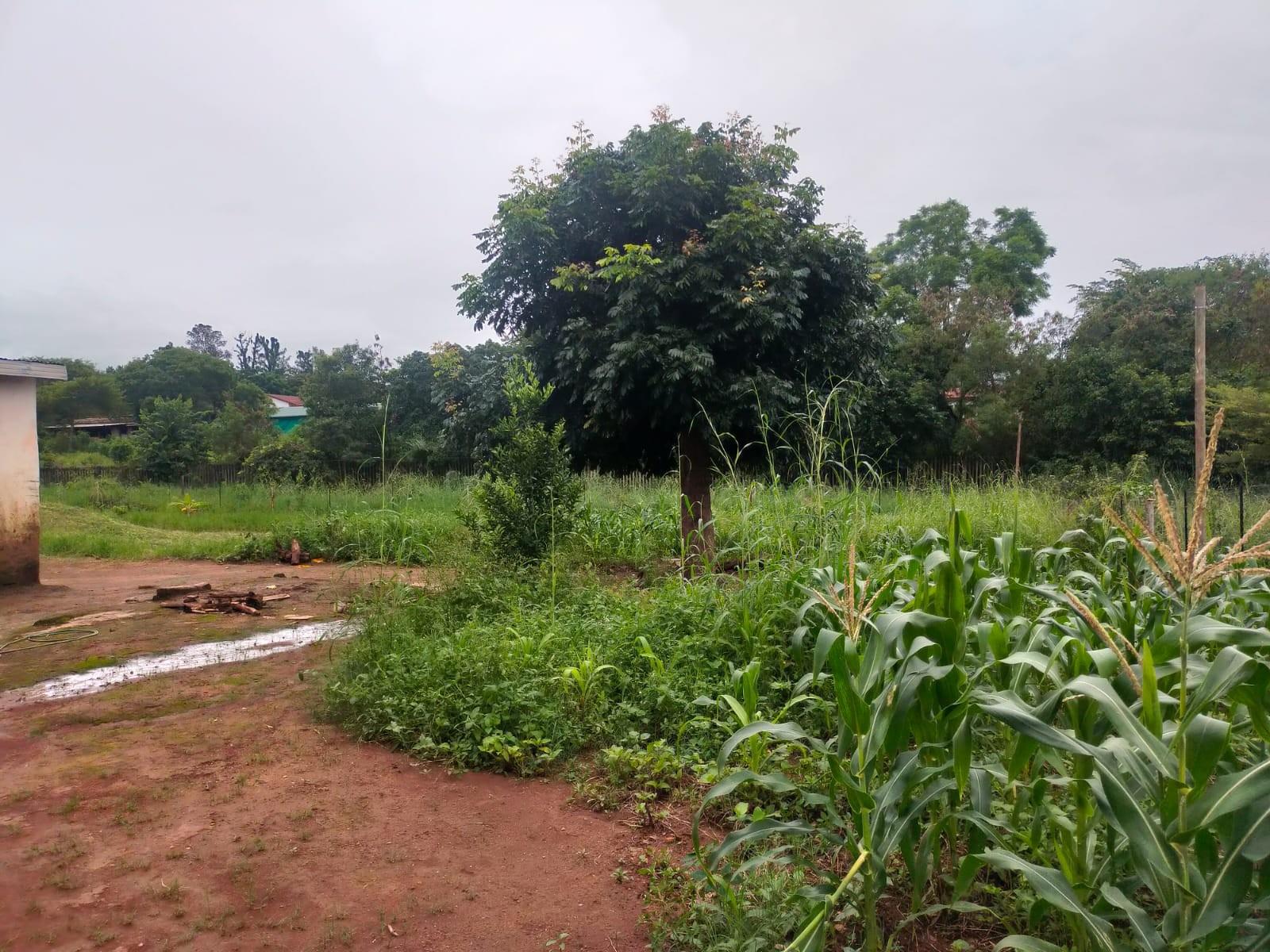 Vacant Land For Sale in Thohoyandou Rural, Tshisahulu