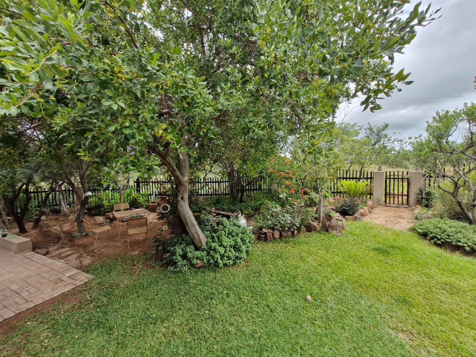 PRISTINE WHEELCHAIR-FRIENDLY BUSHVELD HOME FOR SALE