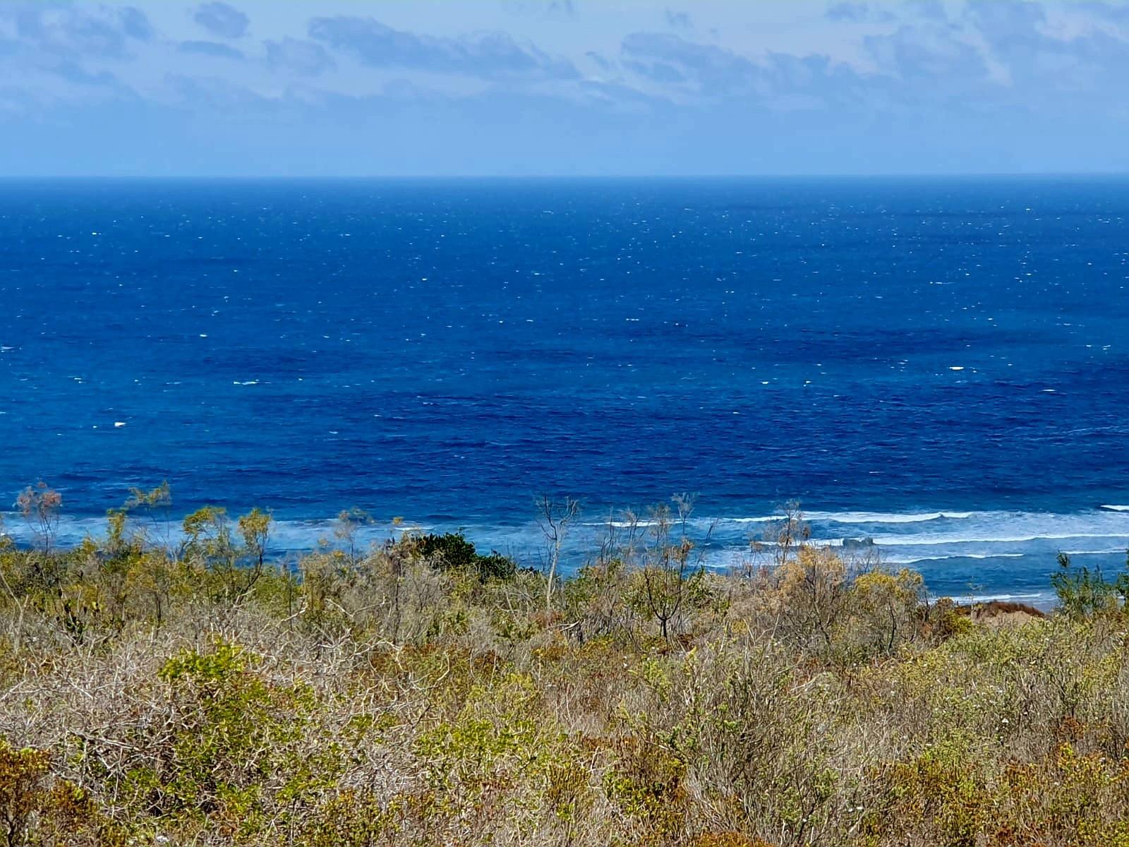 Where the Horizon Becomes Your Neighbour - Nautilus Bay