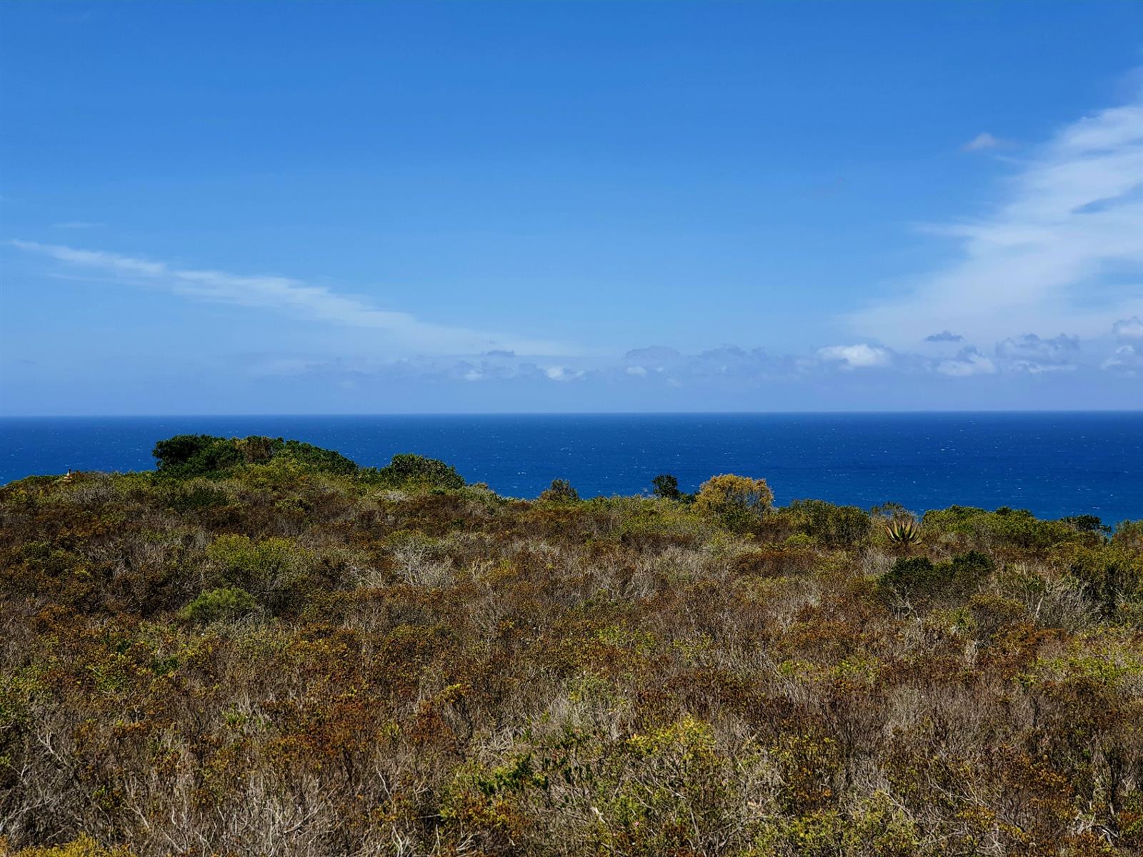 Where the Horizon Becomes Your Neighbour - Nautilus Bay
