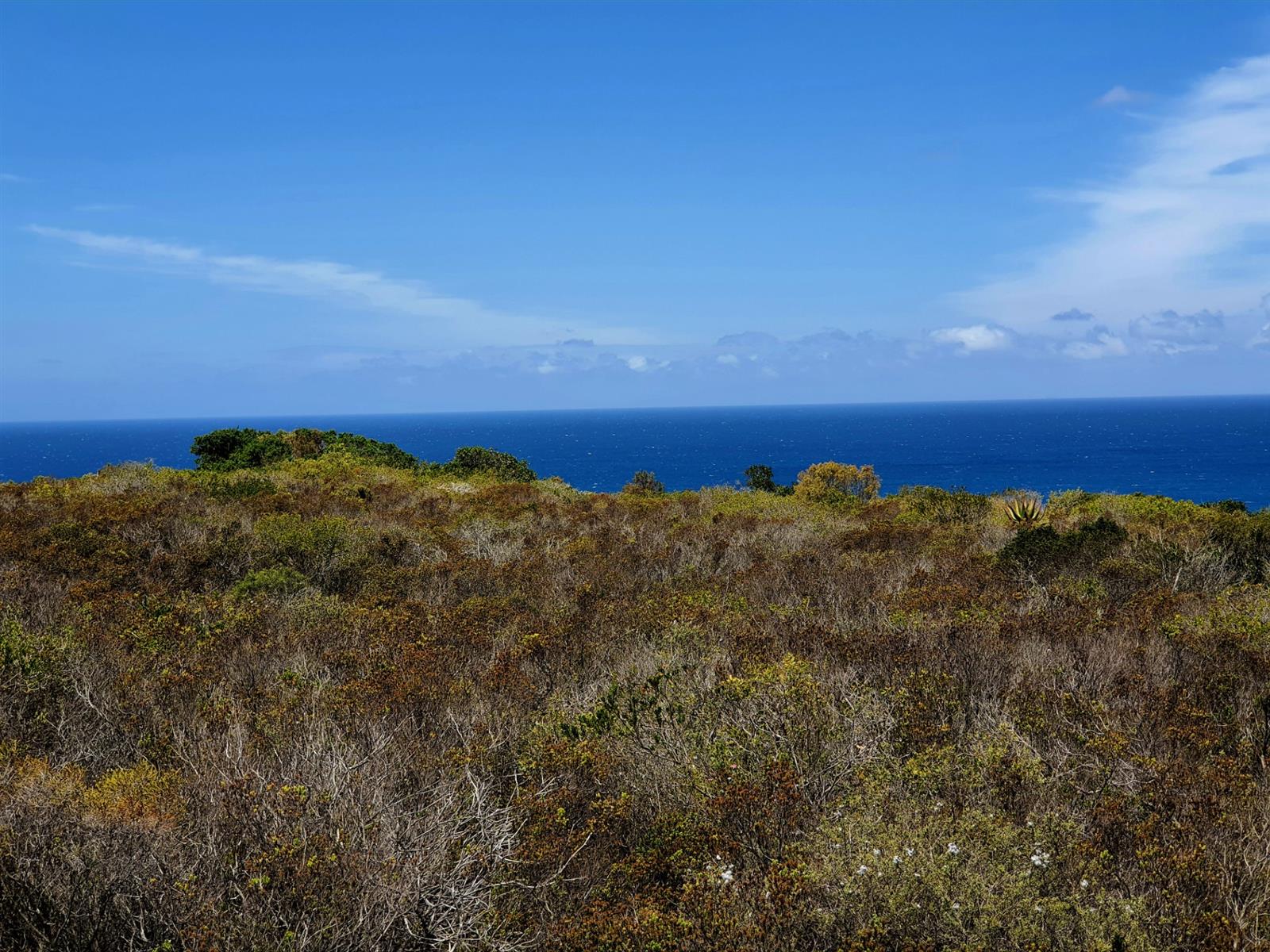 Where the Horizon Becomes Your Neighbour - Nautilus Bay