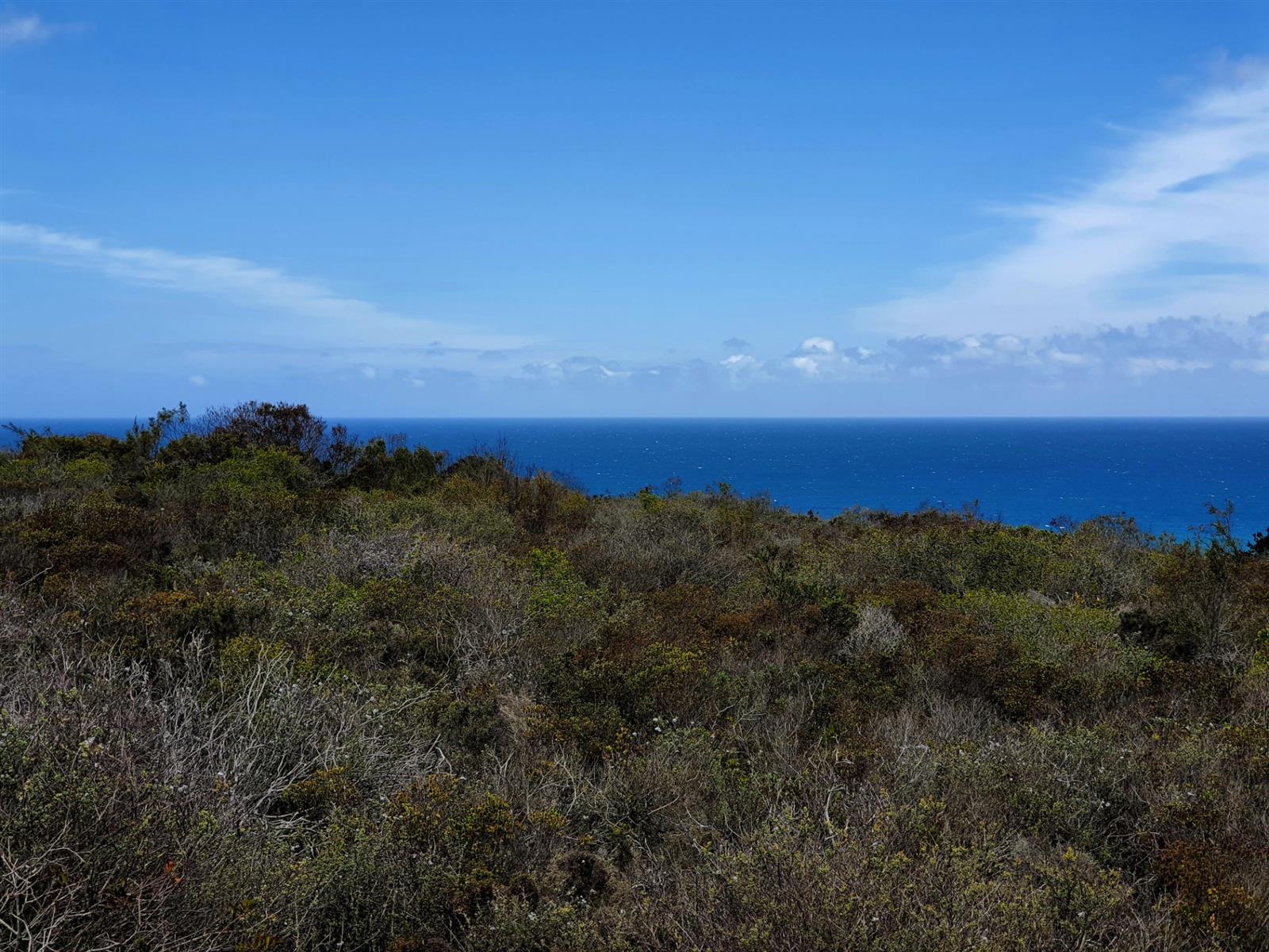 Where the Horizon Becomes Your Neighbour - Nautilus Bay