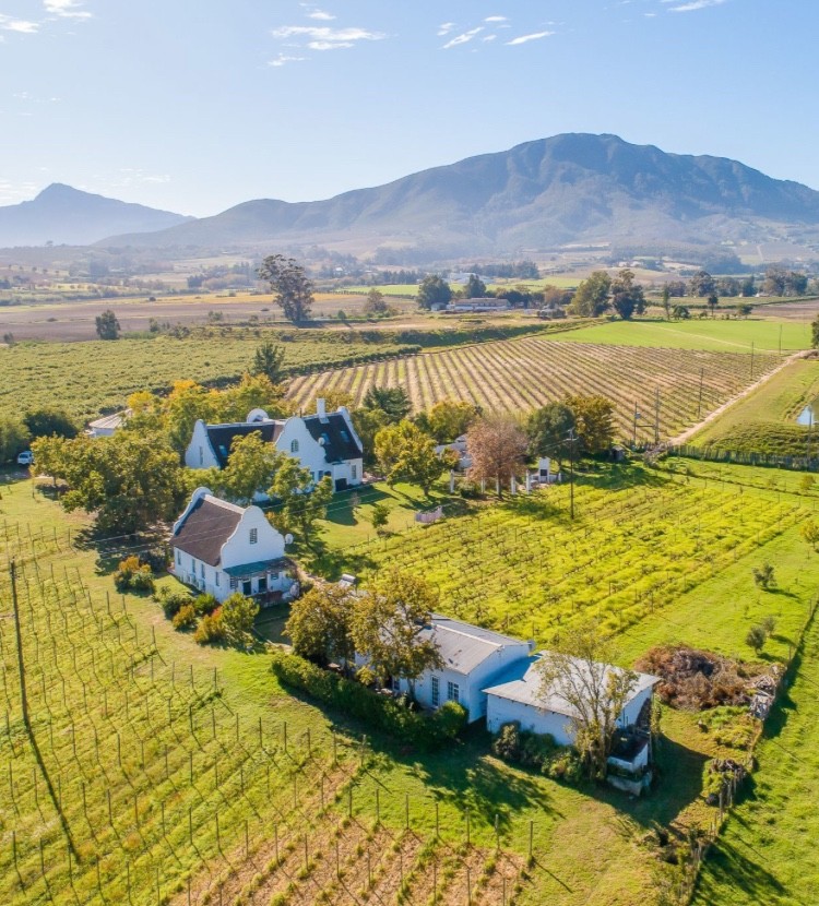 Escape the City with Country Comforts and a Vibrant Community