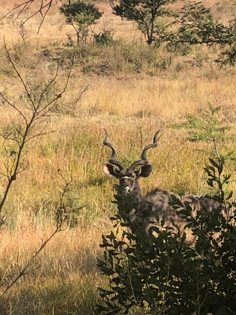 Farm for sale in Vryheid Rural, Vryheid, KwaZulu Natal, 10400000 m²