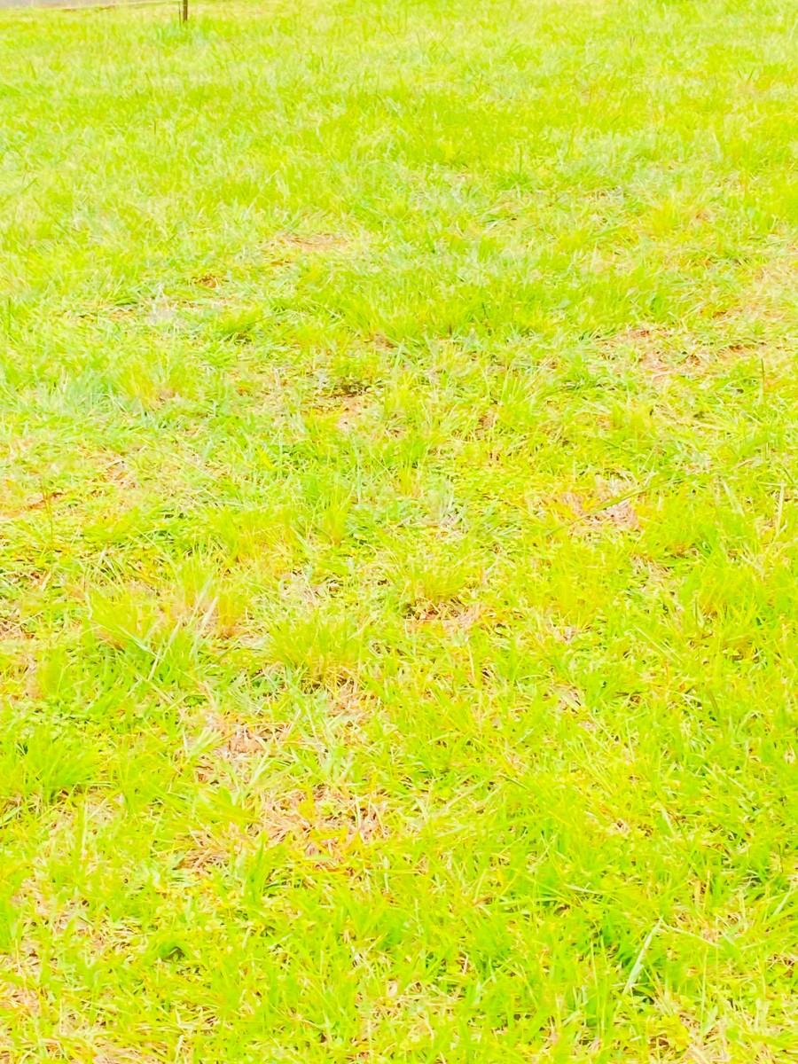 Vacant Land For Sale in Vulintaba Country Estate, Newcastle, KwaZulu Natal