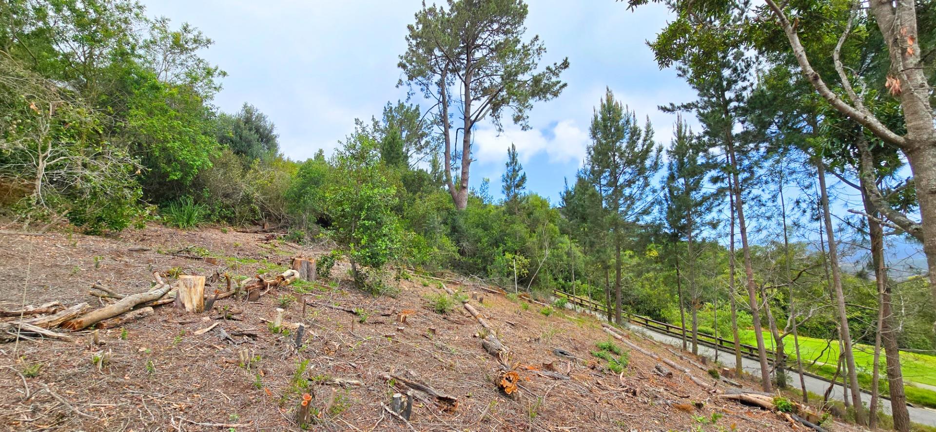 Prime Vacant Stand Overlooking the Golf Course Simola Golf Estate