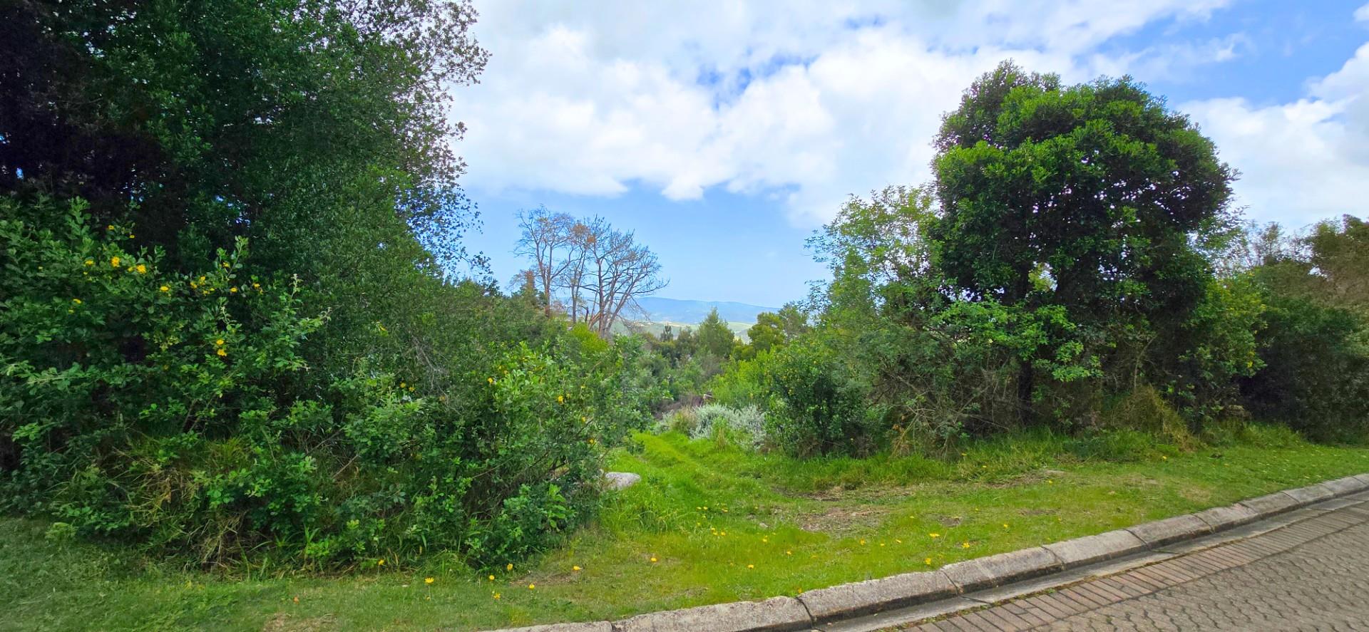 Prime Vacant Stand Overlooking the Golf Course Simola Golf Estate