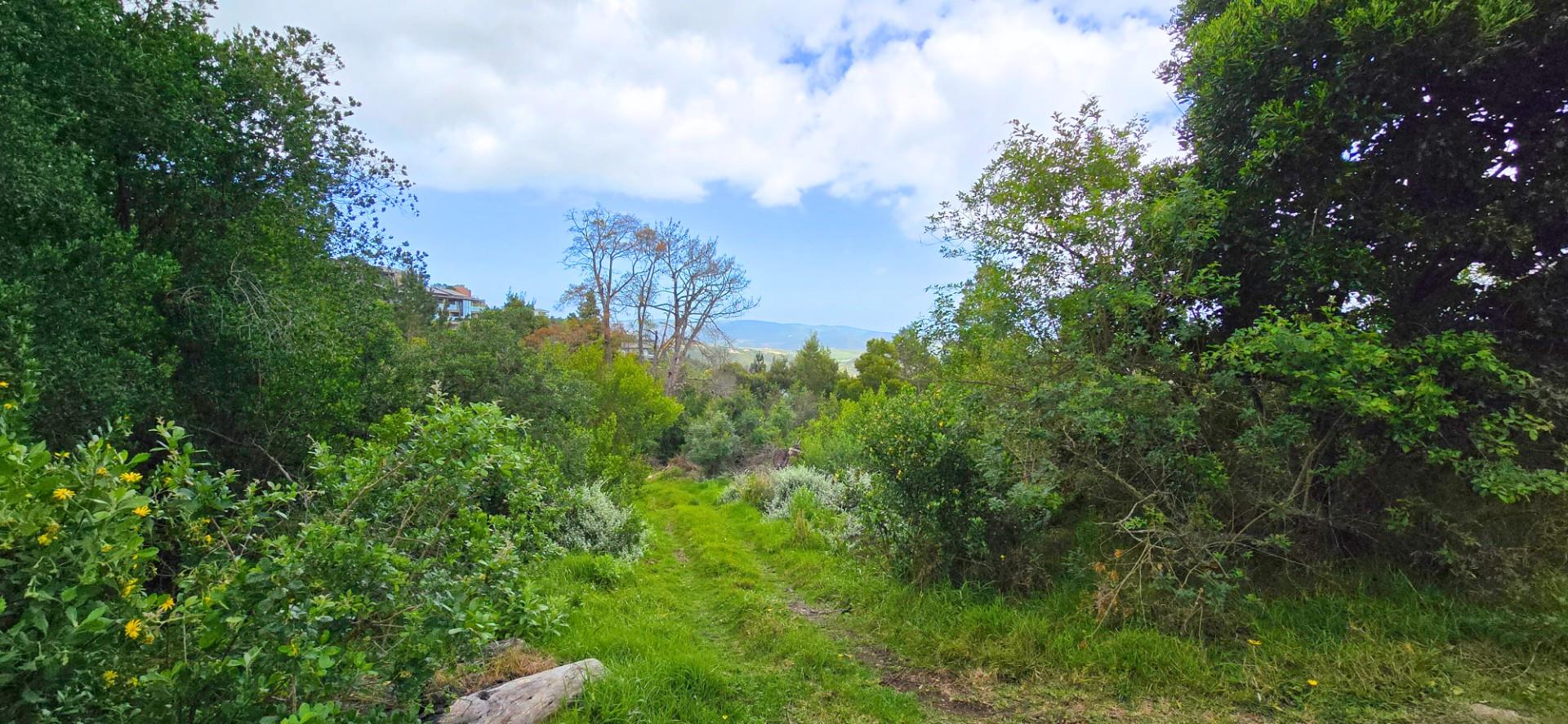 Prime Vacant Stand Overlooking the Golf Course Simola Golf Estate