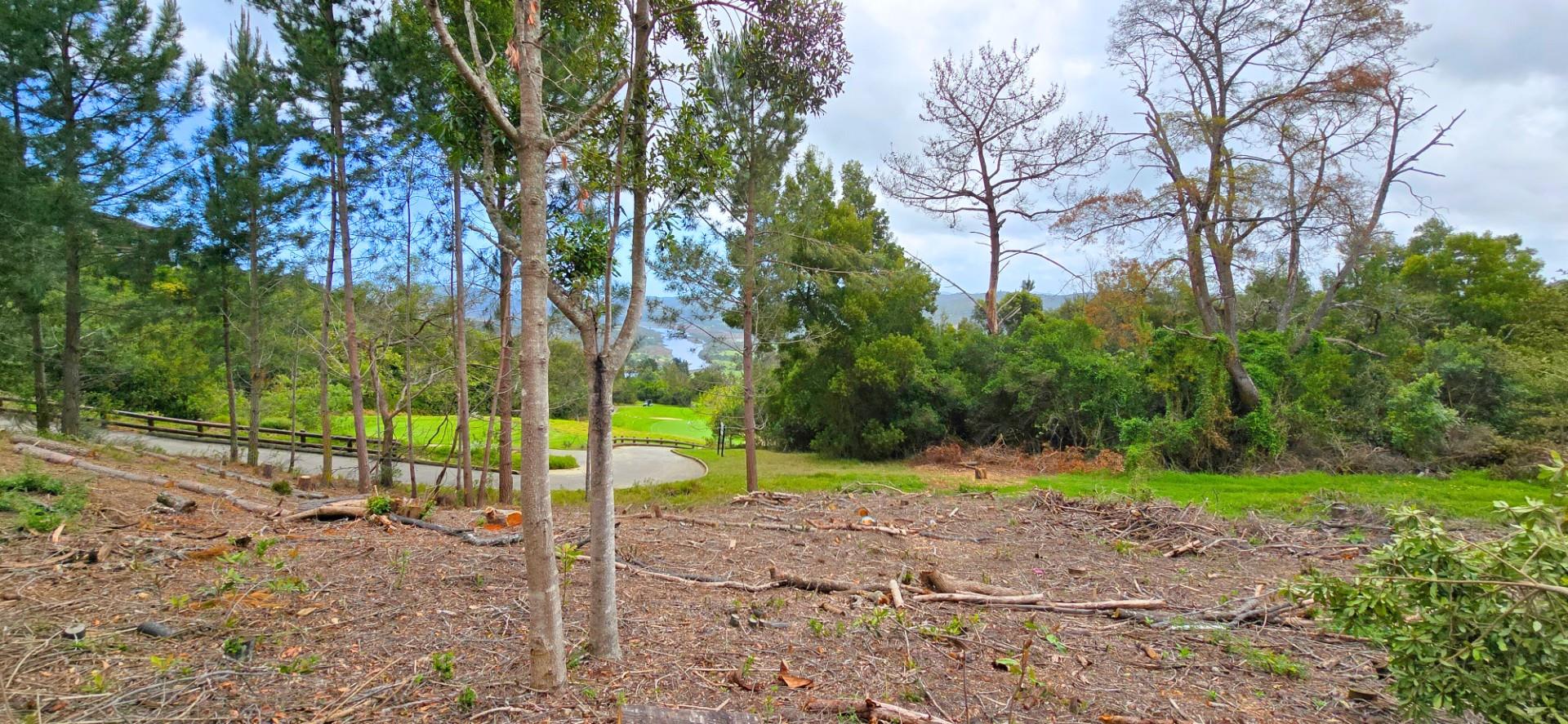 Prime Vacant Stand Overlooking the Golf Course Simola Golf Estate