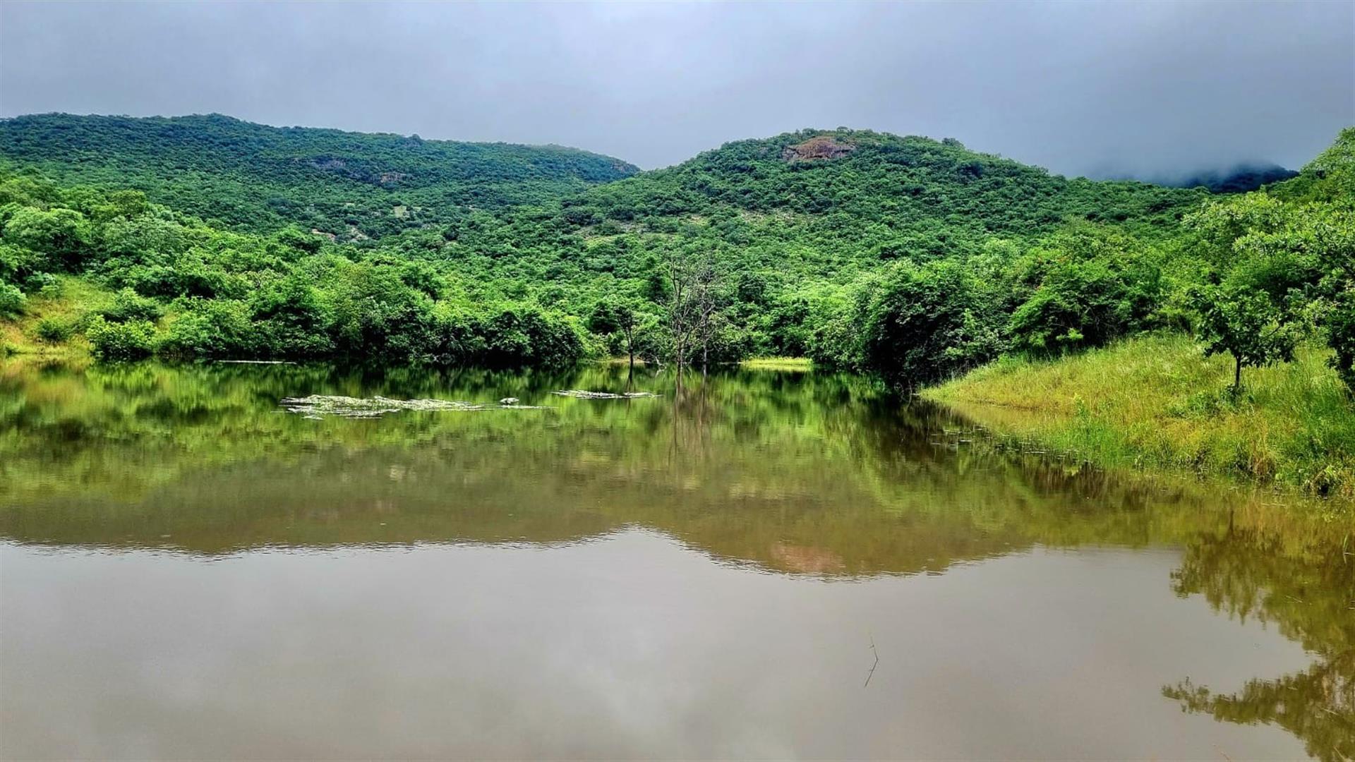 1,184.8-Hectare Eco Reserve, Game Farm and 4-Star Lodge in the Crocodile Gorge Conservancy