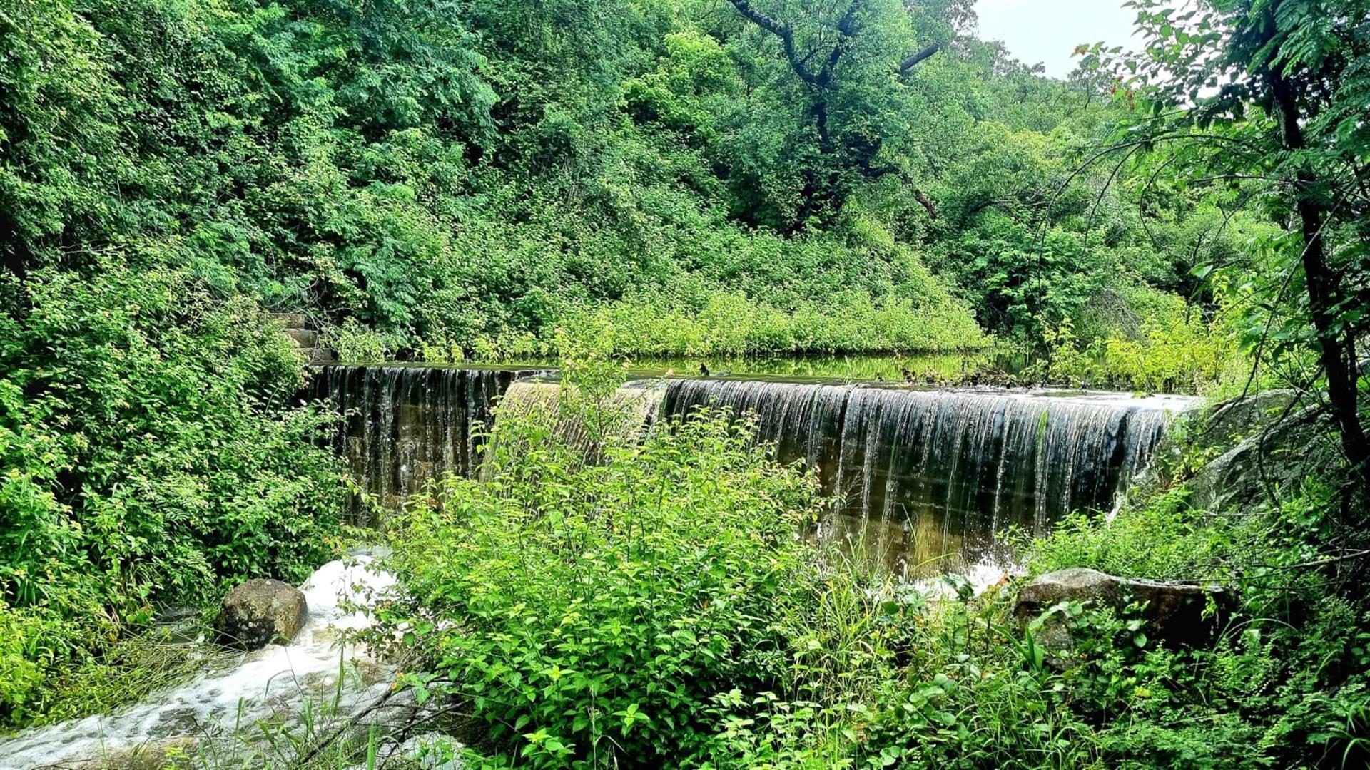 Farm for sale in Nelspruit Rural, Nelspruit, 11840000 m²