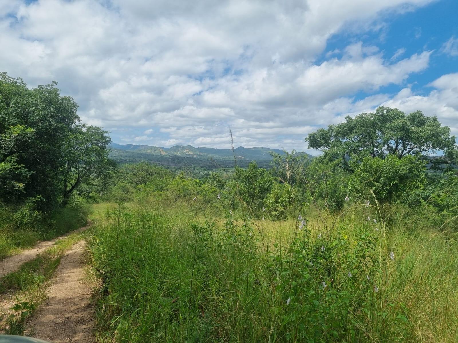 Vacant Farm with 10Ha Water Rights close to the KaNyamazane road