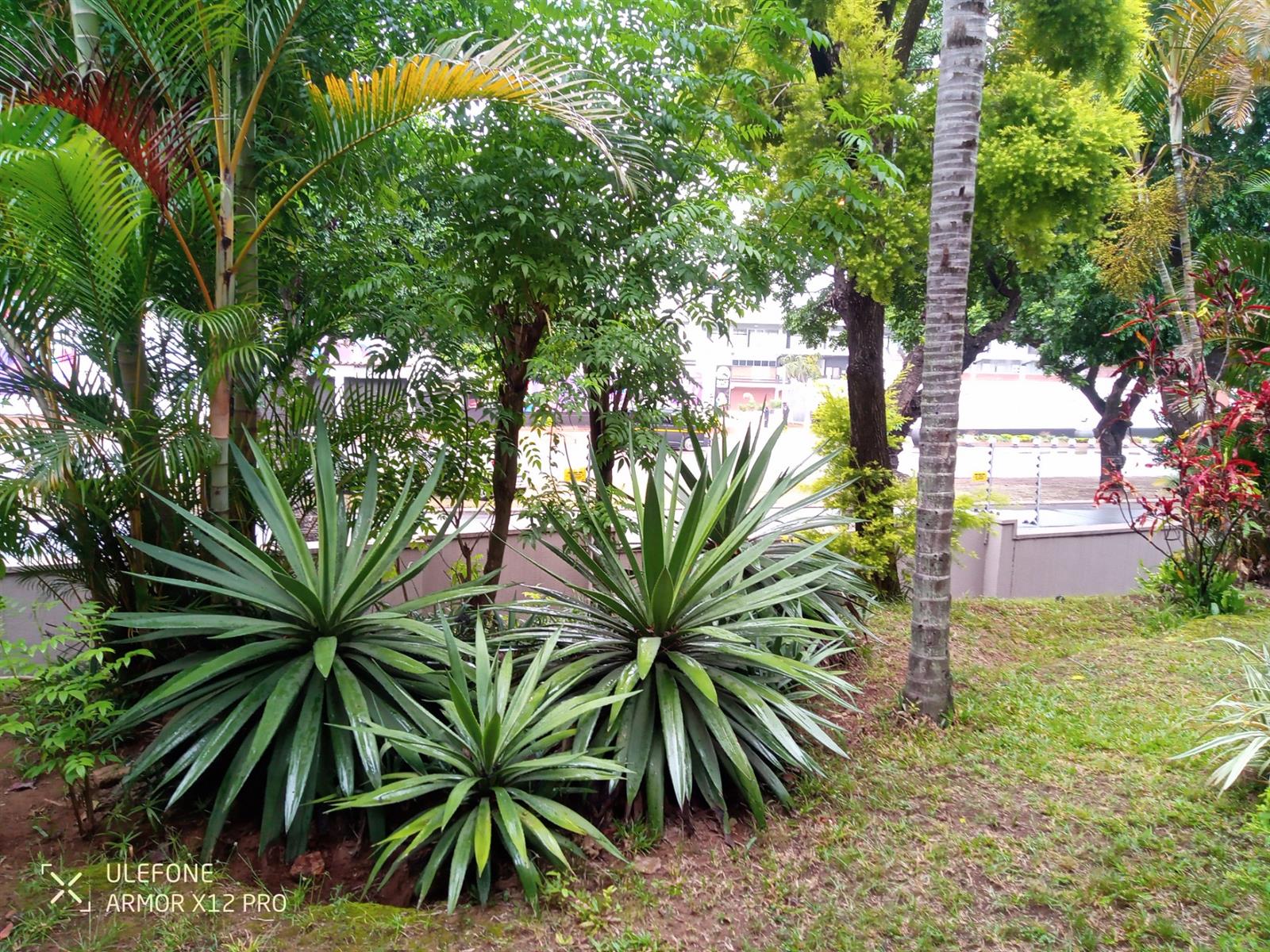 Opposite Greyville Racecourse, walking distance to university, schools and close to Avondale spar.