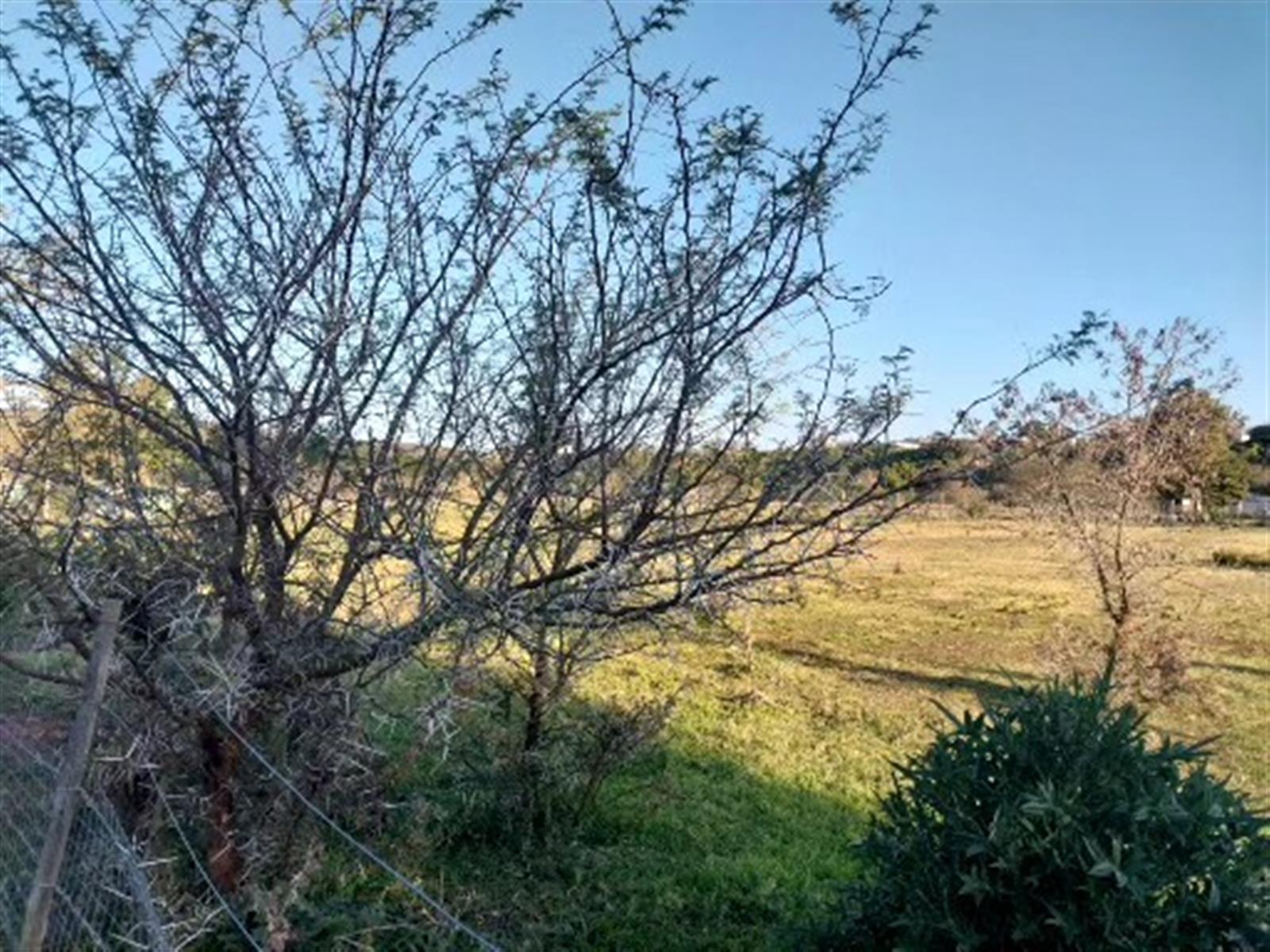 Vacant Commercial Land For Sale in Heidelberg Western Cape