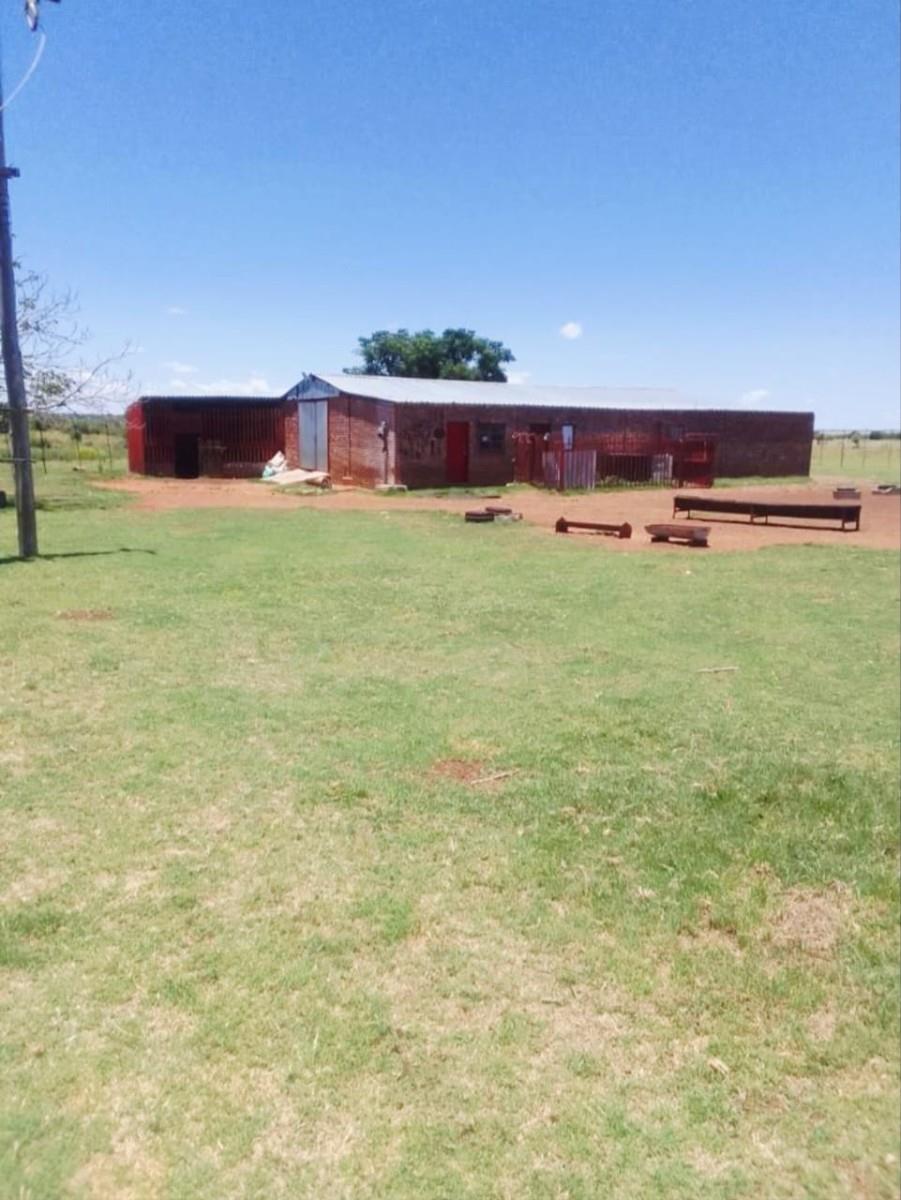 FARM FOR SALE - AMALIA