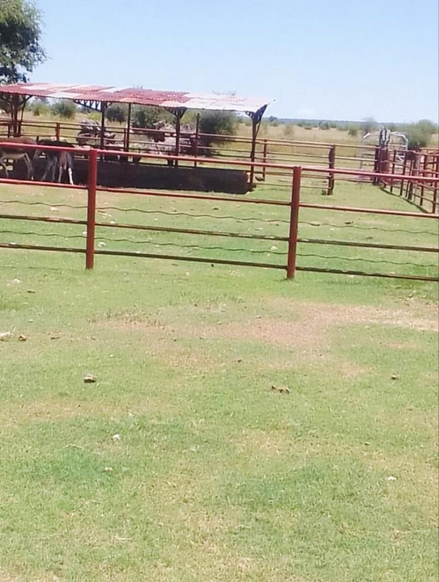 FARM FOR SALE - AMALIA