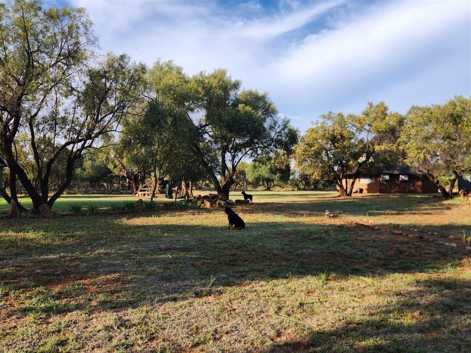 25ha WITH RIVERFRONT FARM - PRICED TO GO