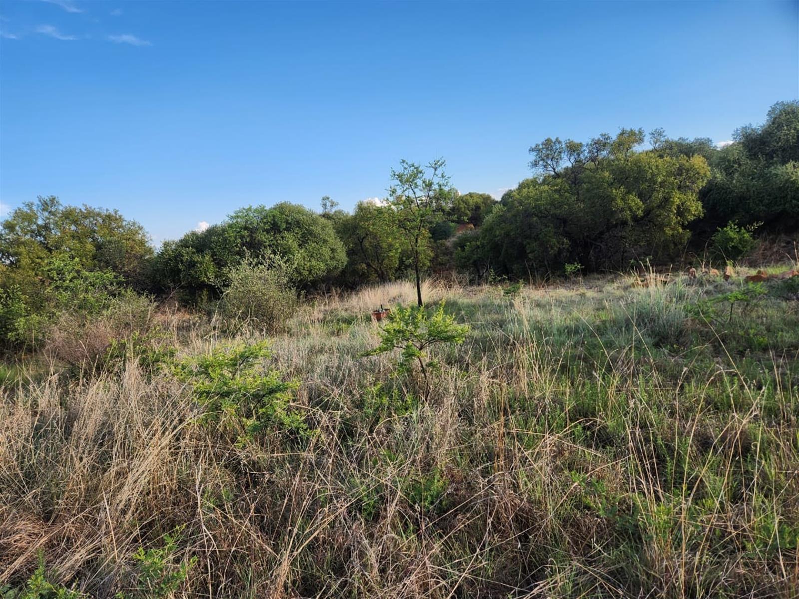 25ha WITH RIVERFRONT FARM - PRICED TO GO