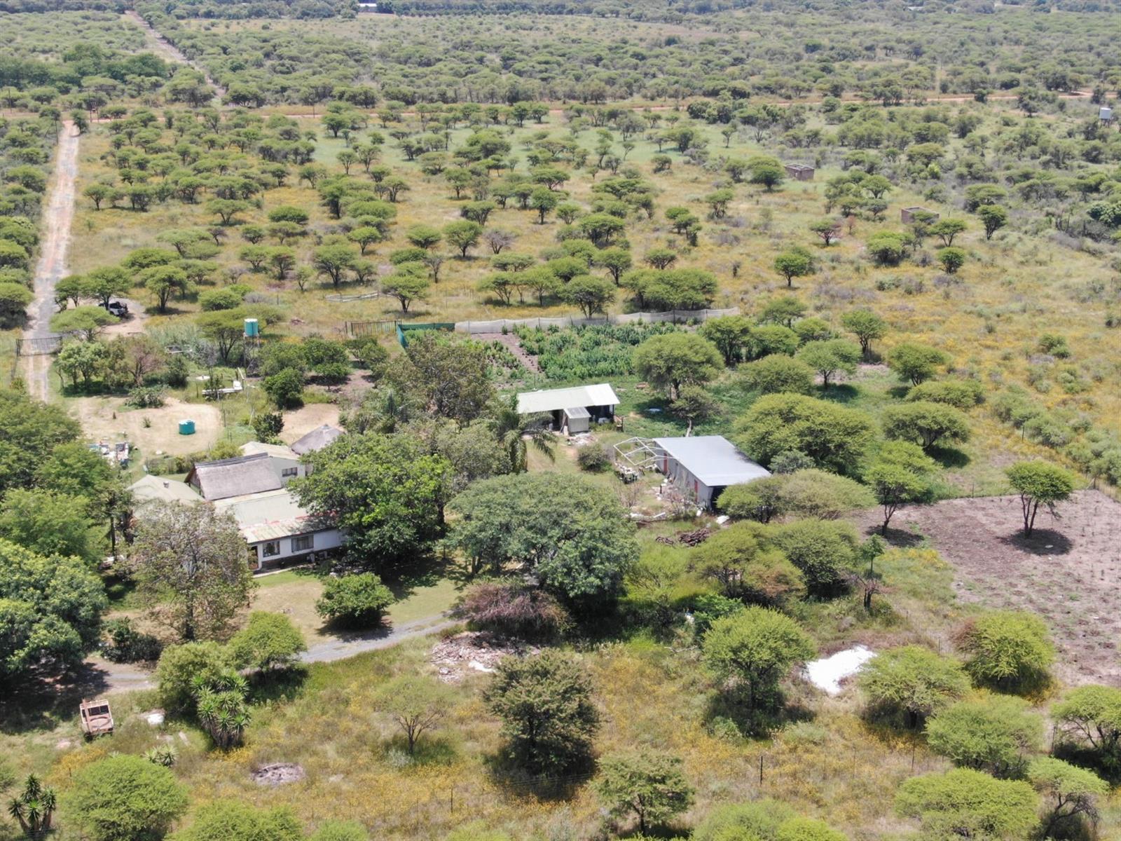 UNDER OFFER Charming 8.56 Hectare Smallholding in Sought-After Roodepoort Area in Bela Bela