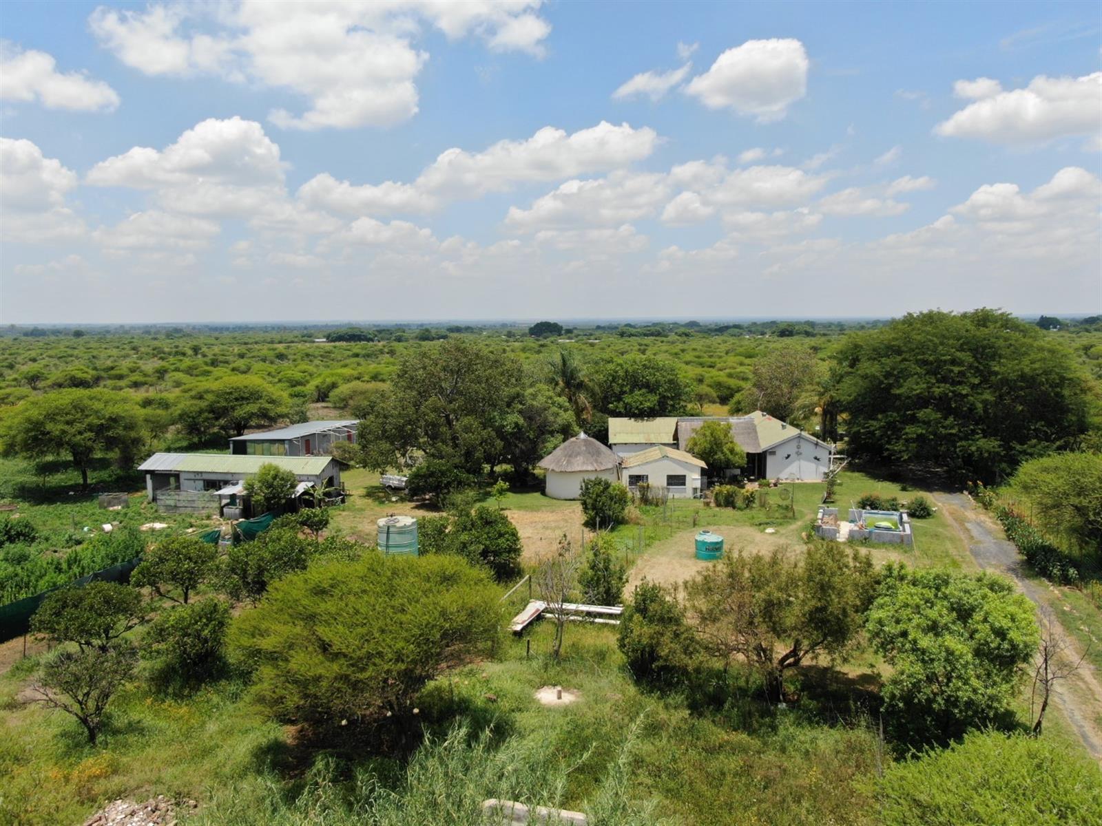 UNDER OFFER Charming 8.56 Hectare Smallholding in Sought-After Roodepoort Area in Bela Bela