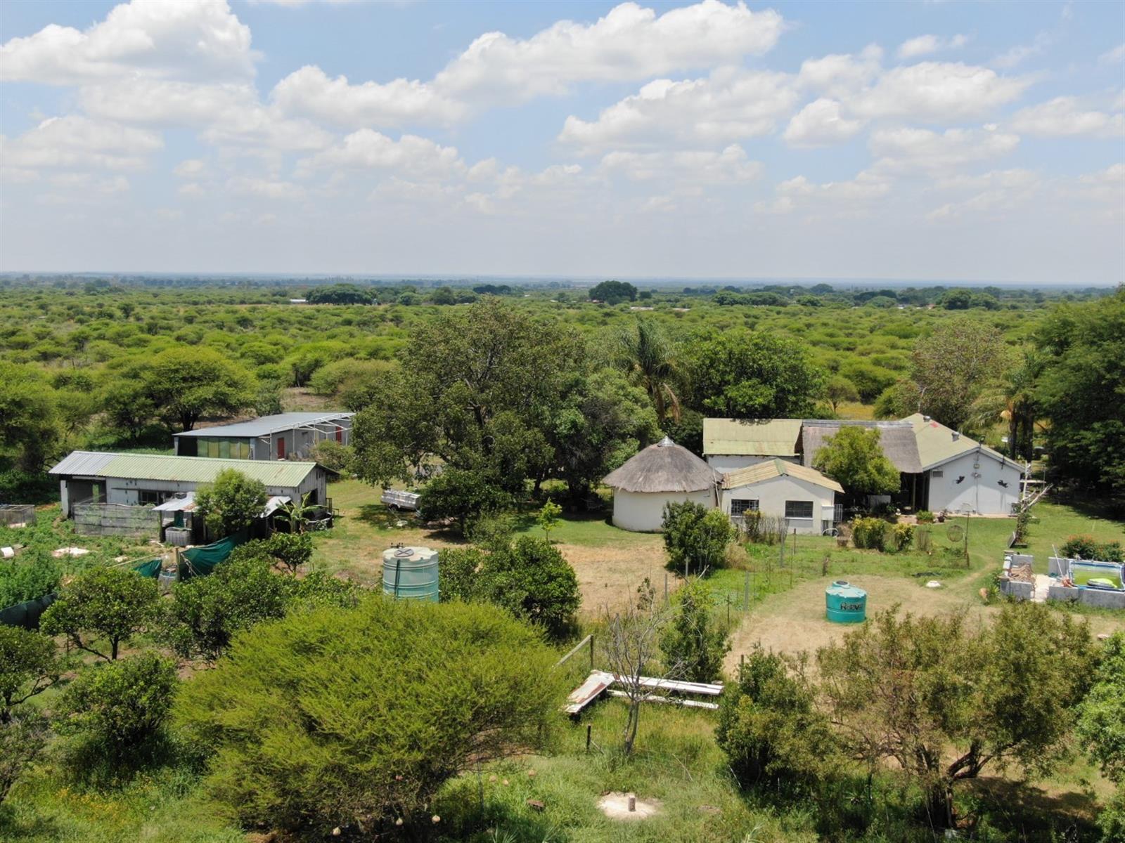 UNDER OFFER Charming 8.56 Hectare Smallholding in Sought-After Roodepoort Area in Bela Bela