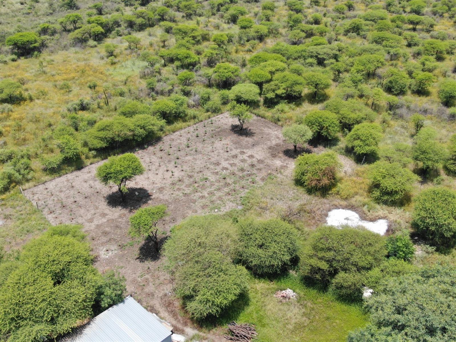 UNDER OFFER Charming 8.56 Hectare Smallholding in Sought-After Roodepoort Area in Bela Bela
