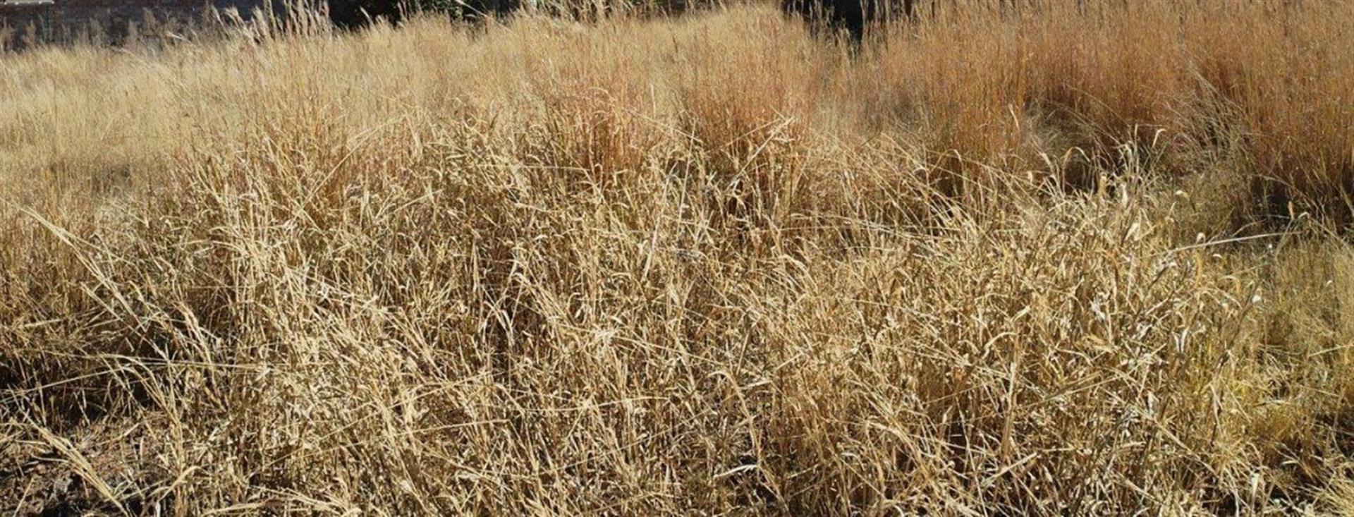 Vacant Land For Sale in Osizweni, Newcastle, KwaZulu Natal
