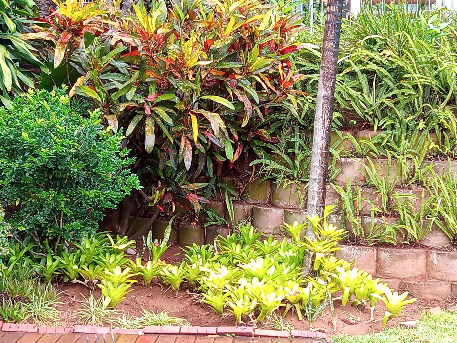SEA FACING Furnished apartment To Rent in Umhlanga Central, Umhlanga, KwaZulu Natal