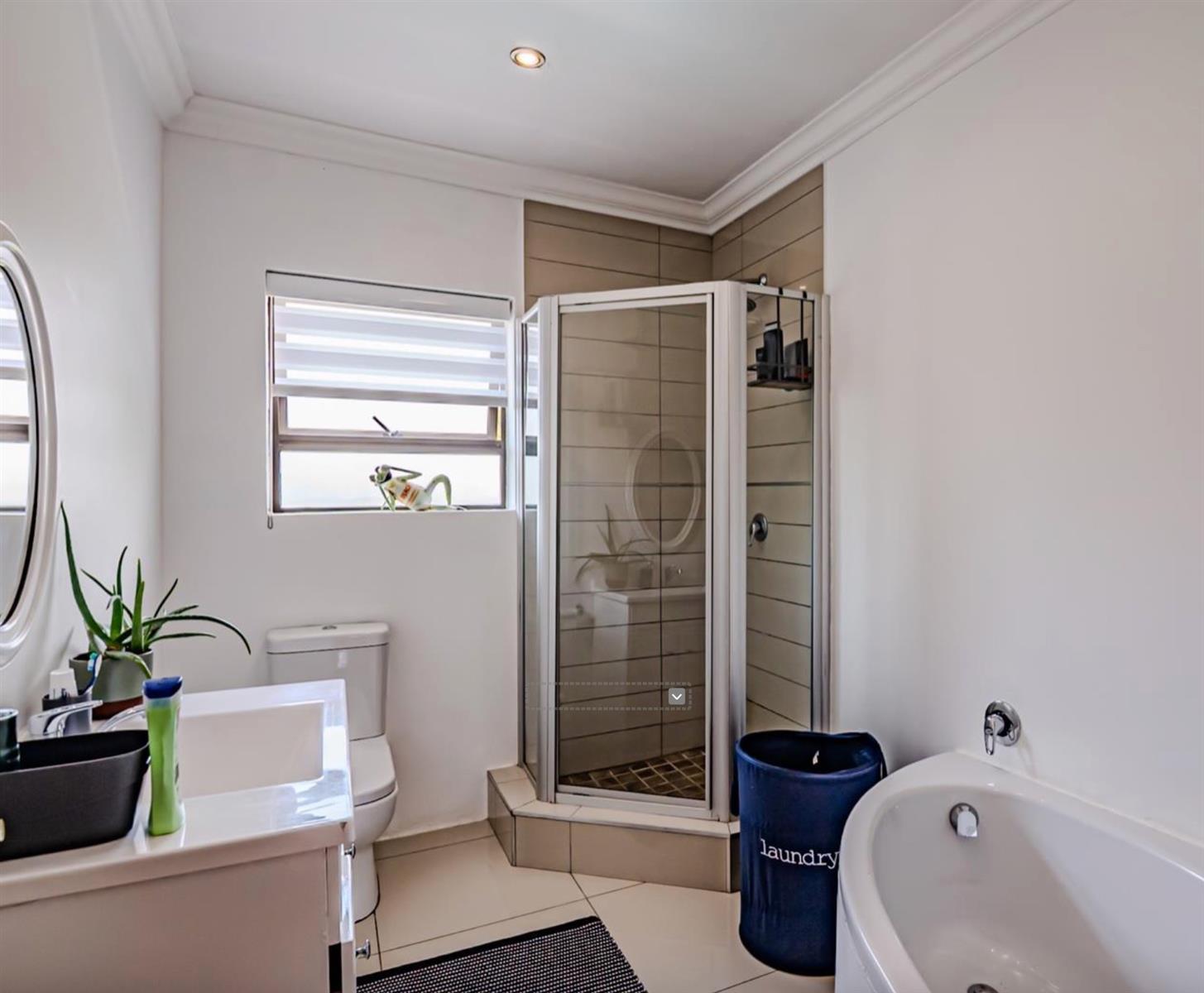Rare Double-Stand Masterpiece (Space, Privacy And Entertainment Come Together)